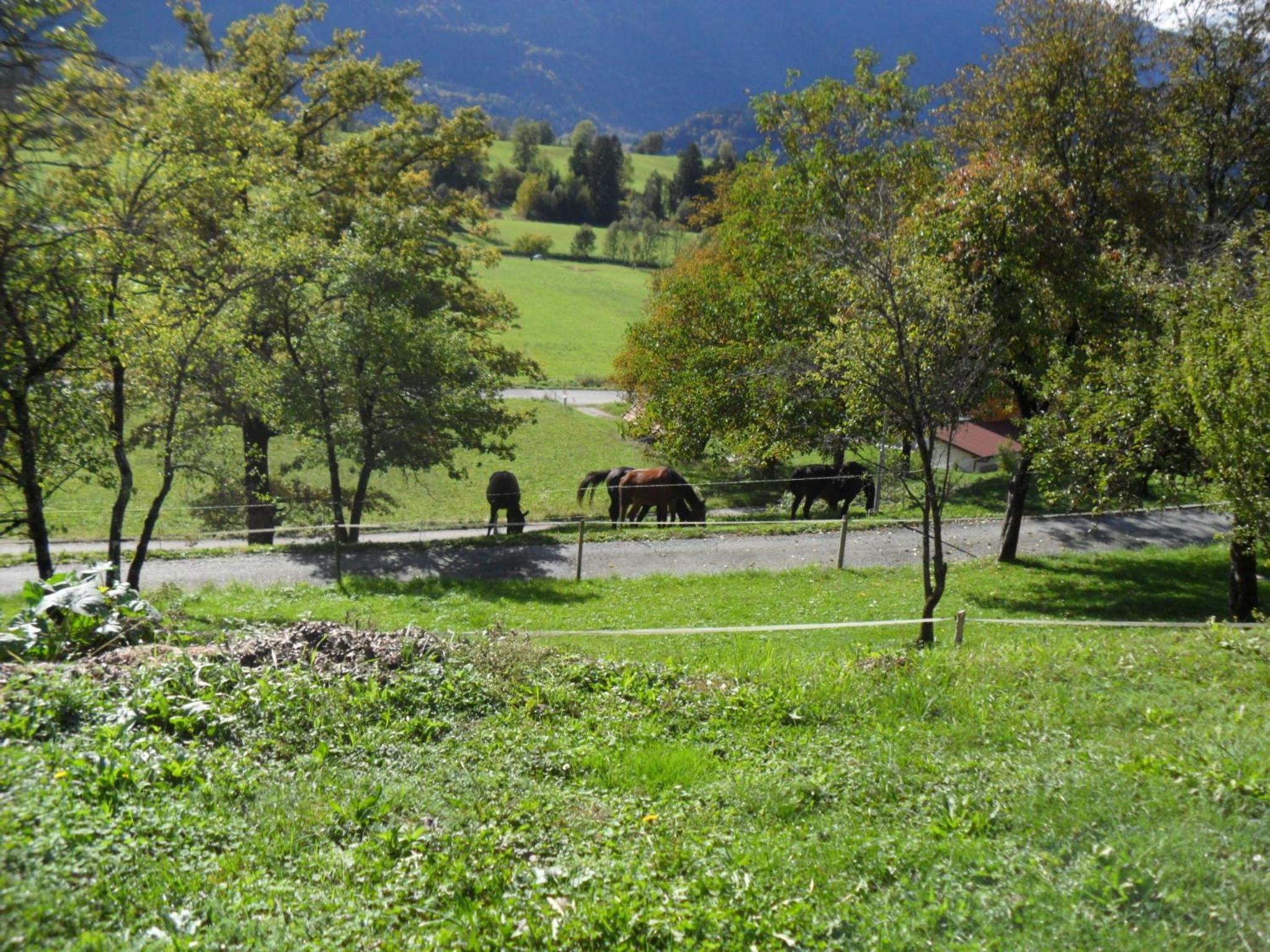 Ferienhaus Warmuth