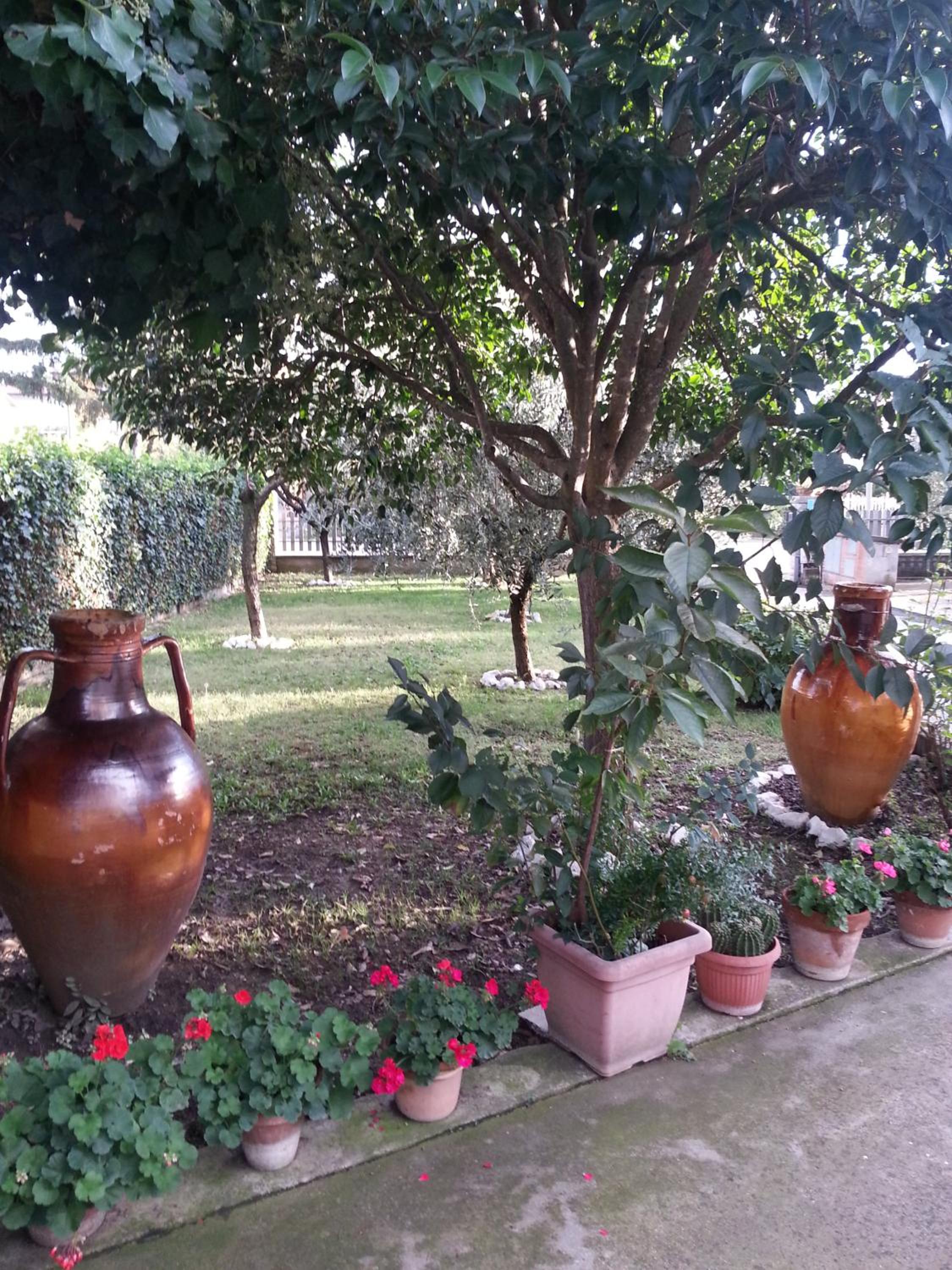 La Casina appartamento vacanze Assisi