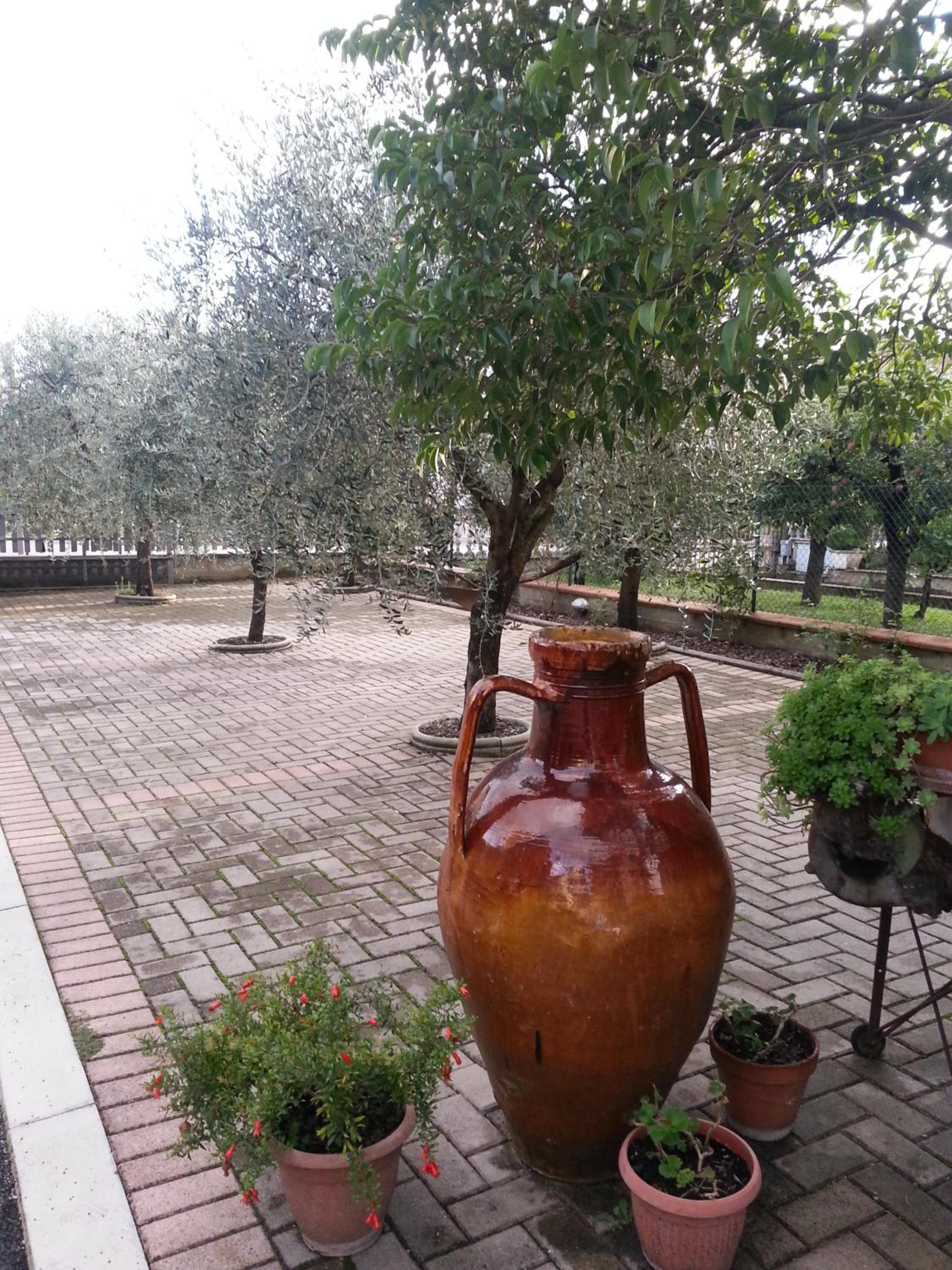 La Casina appartamento vacanze Assisi
