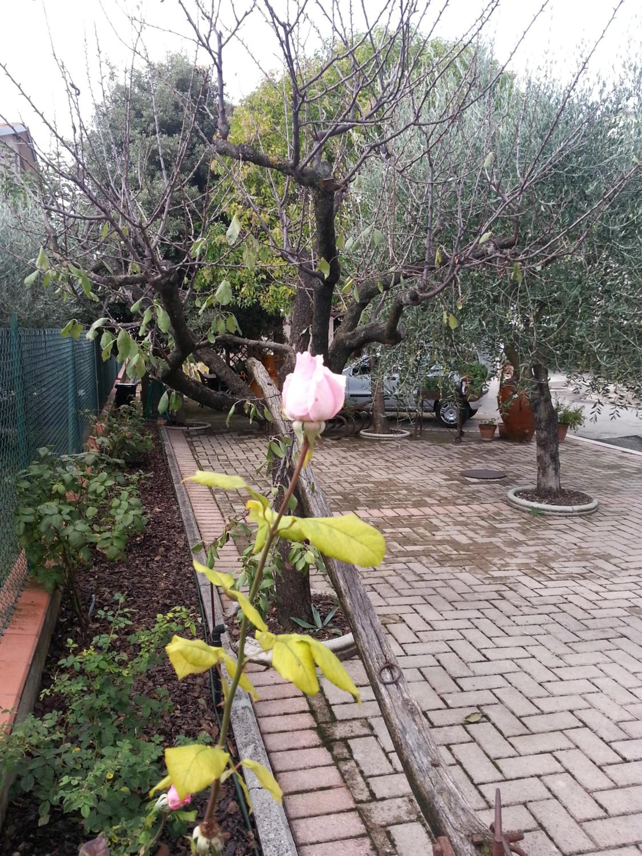 La Casina appartamento vacanze Assisi