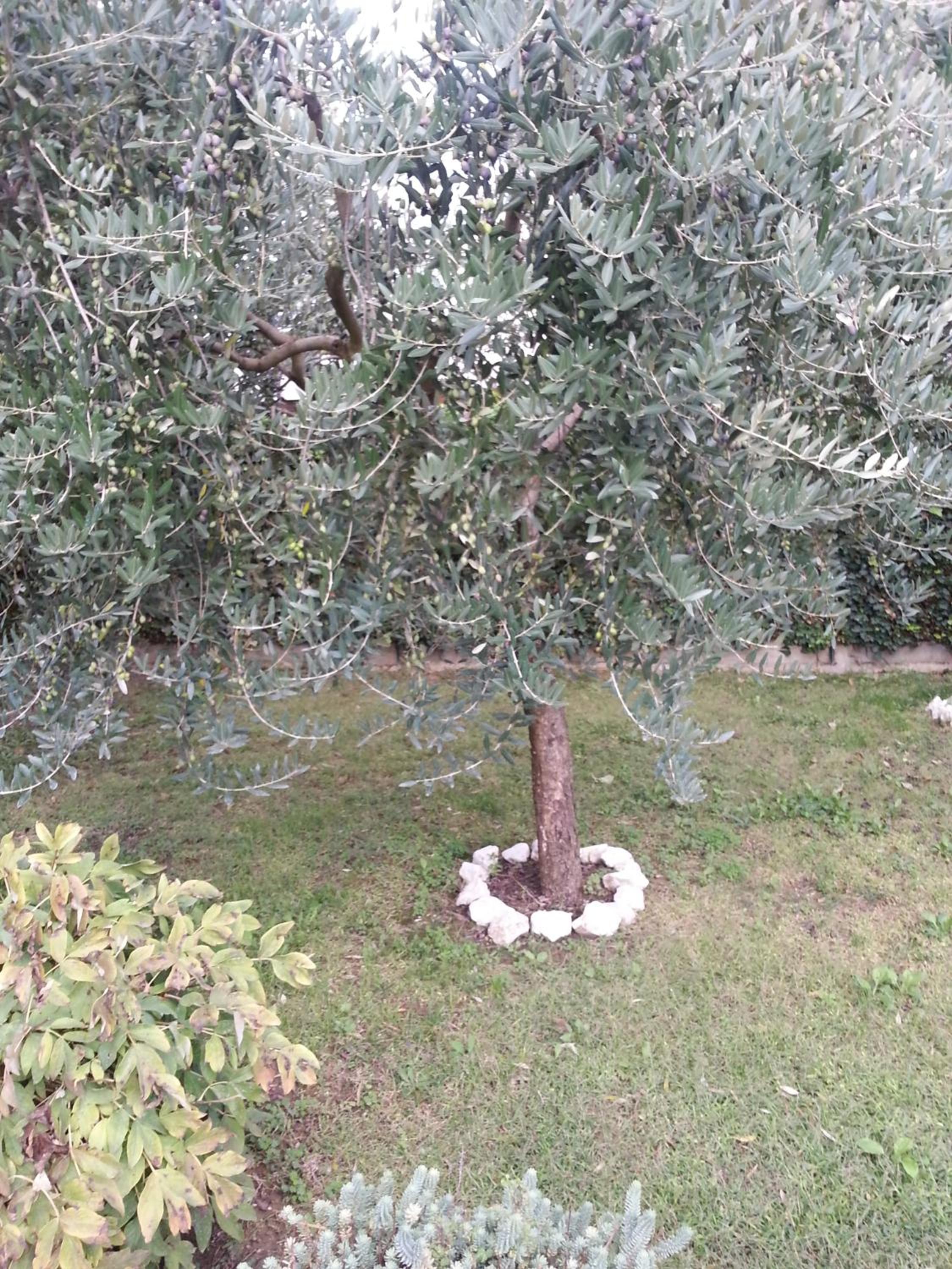La Casina appartamento vacanze Assisi