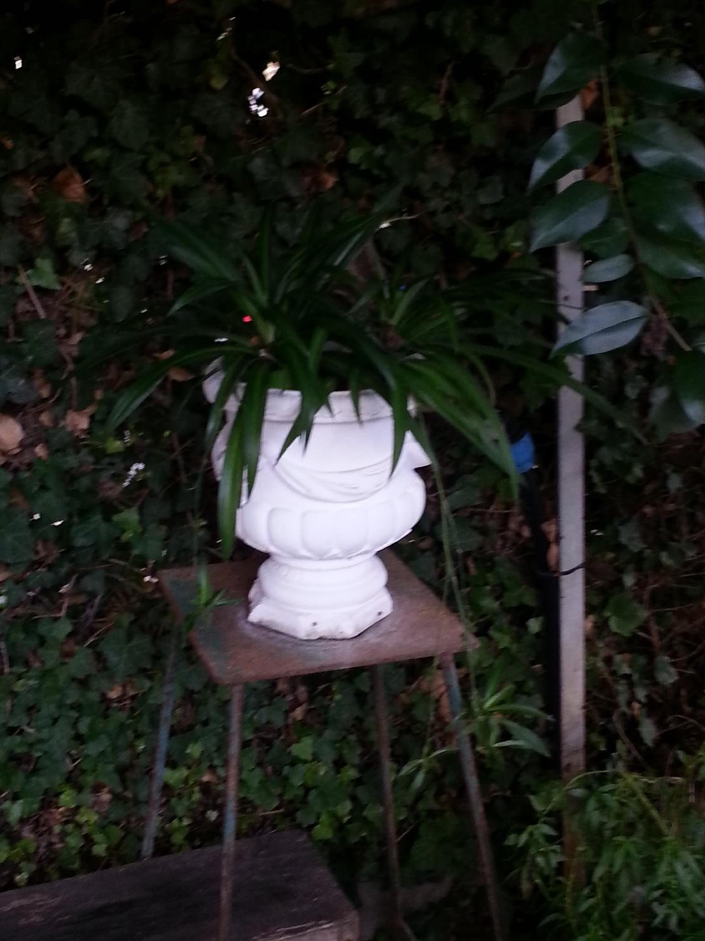 La Casina appartamento vacanze Assisi