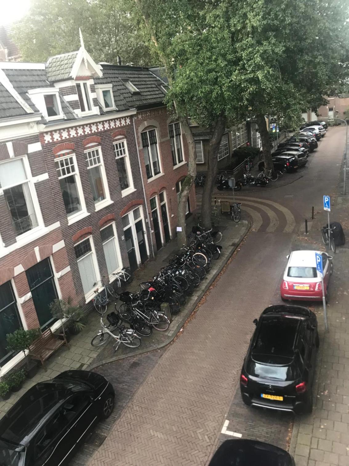 Bed and Breakfast The Rose en Haarlem