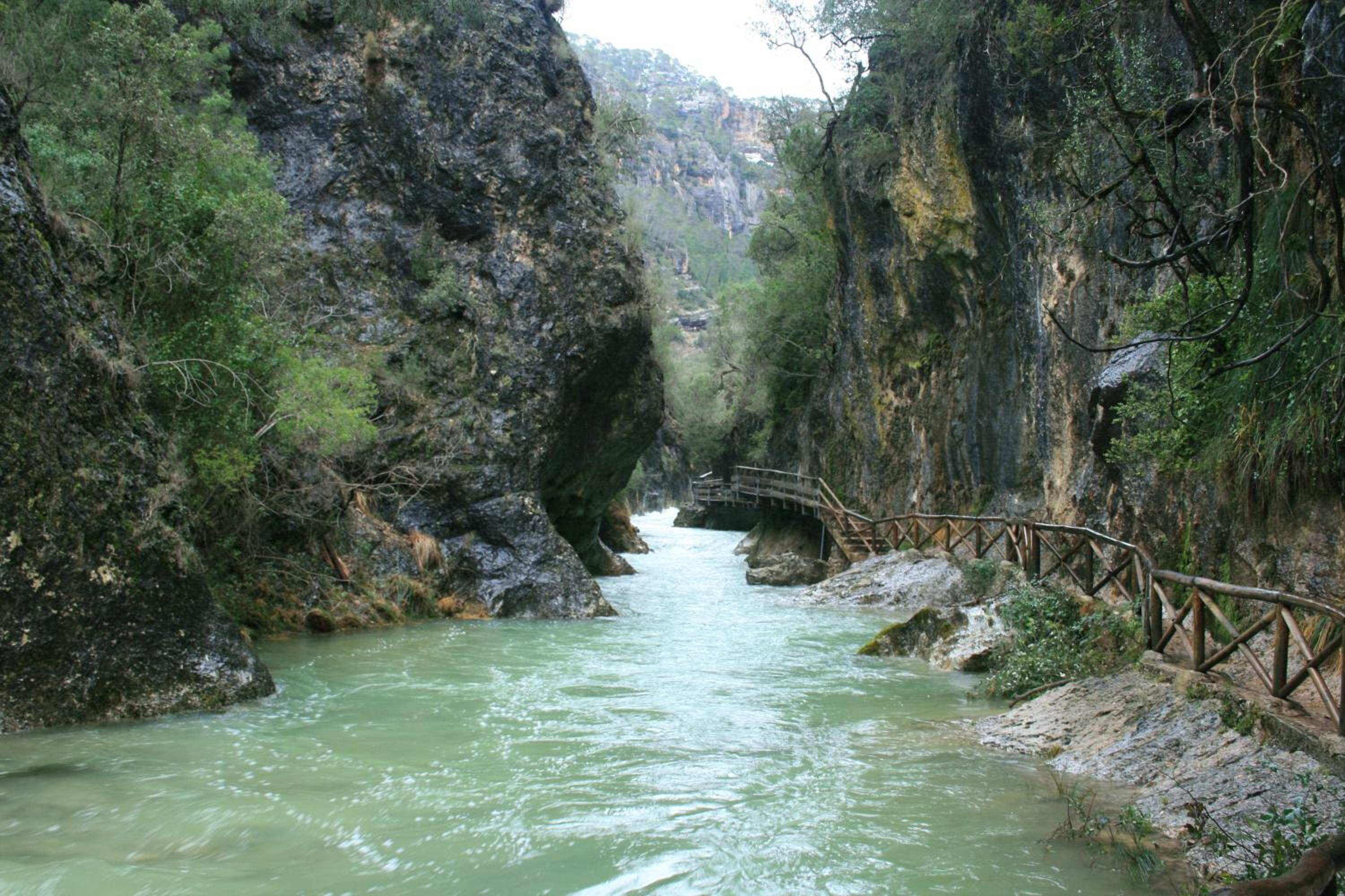 Photo 28