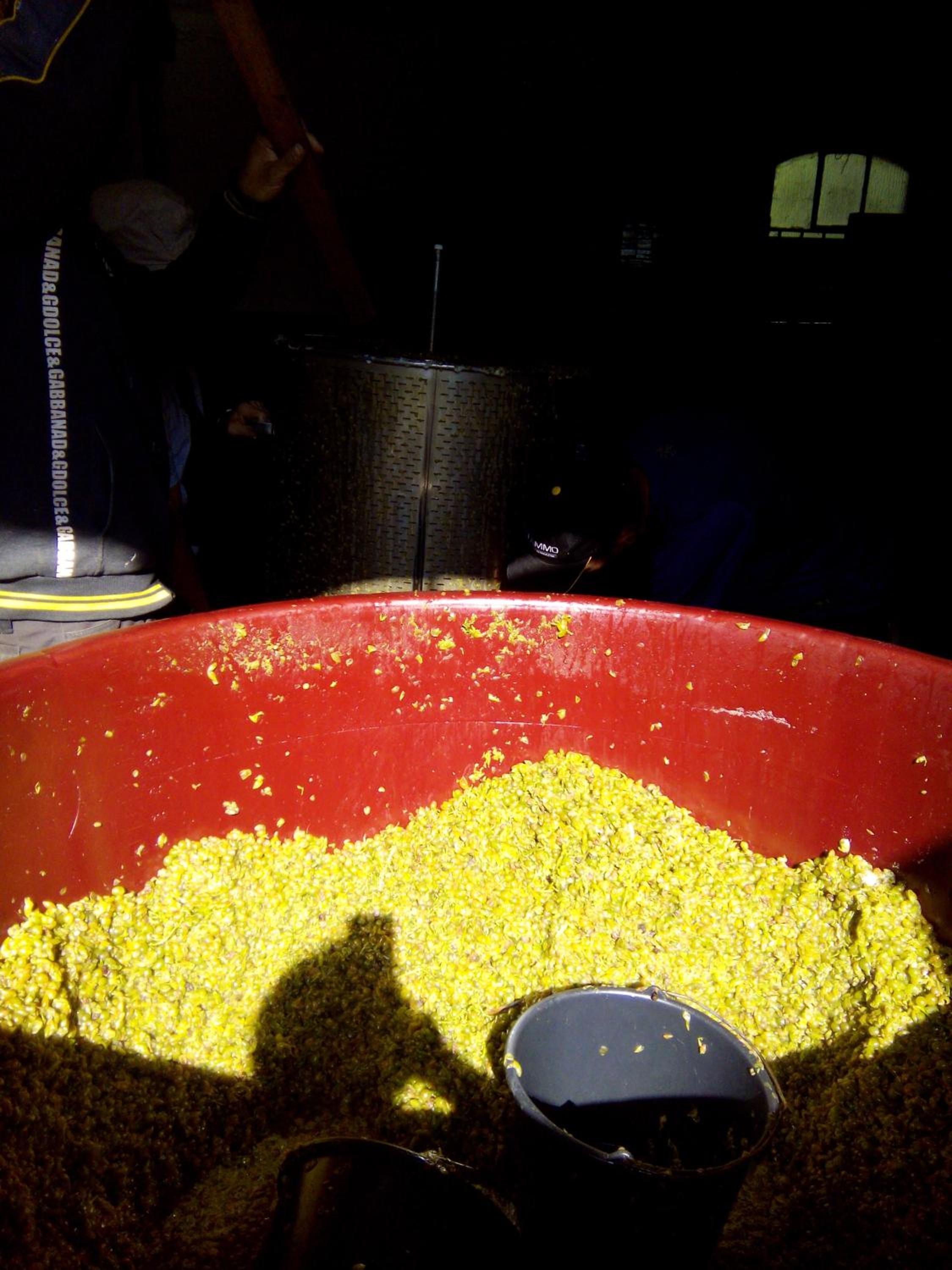 Photo 46