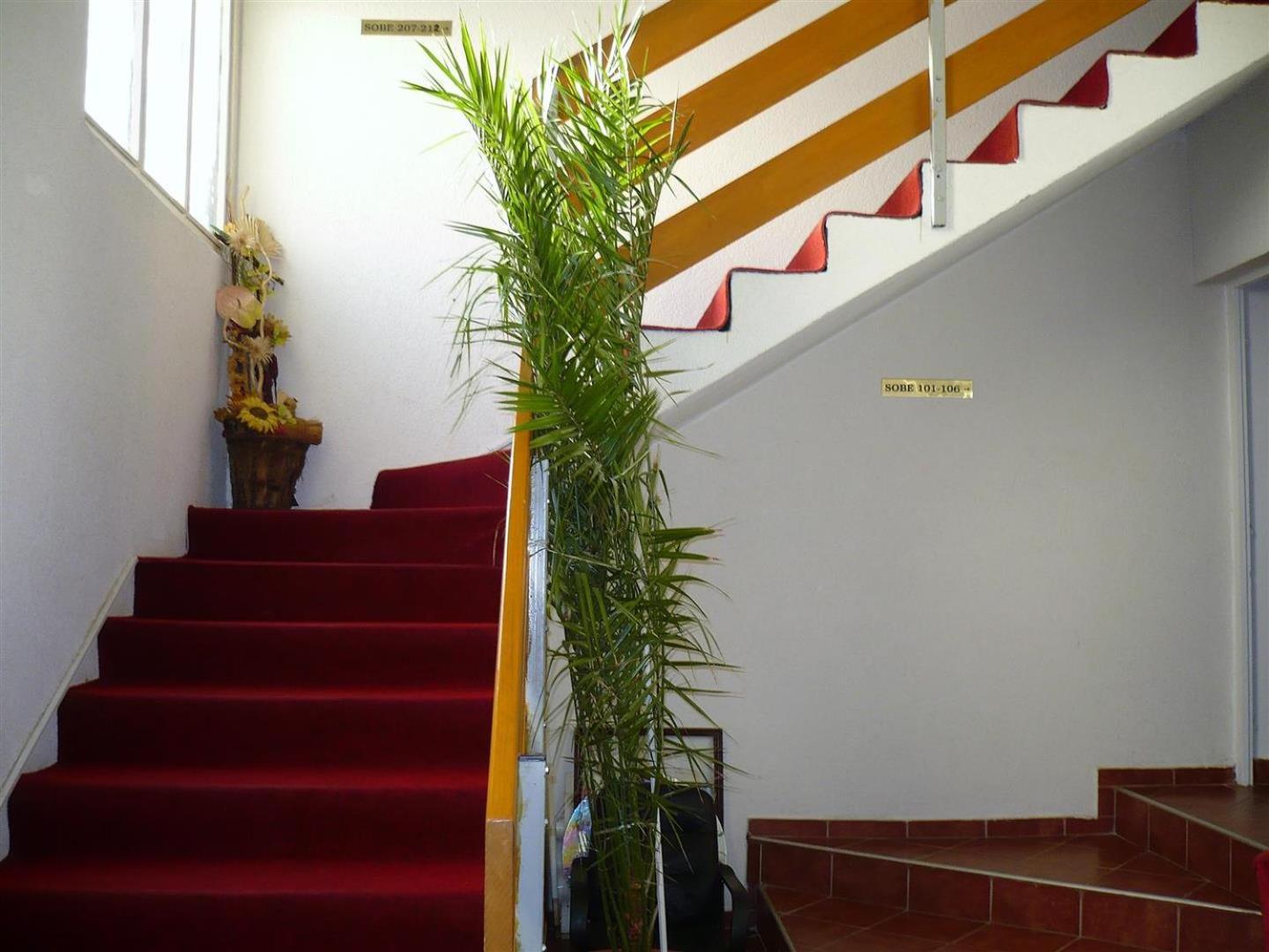 Photo 53