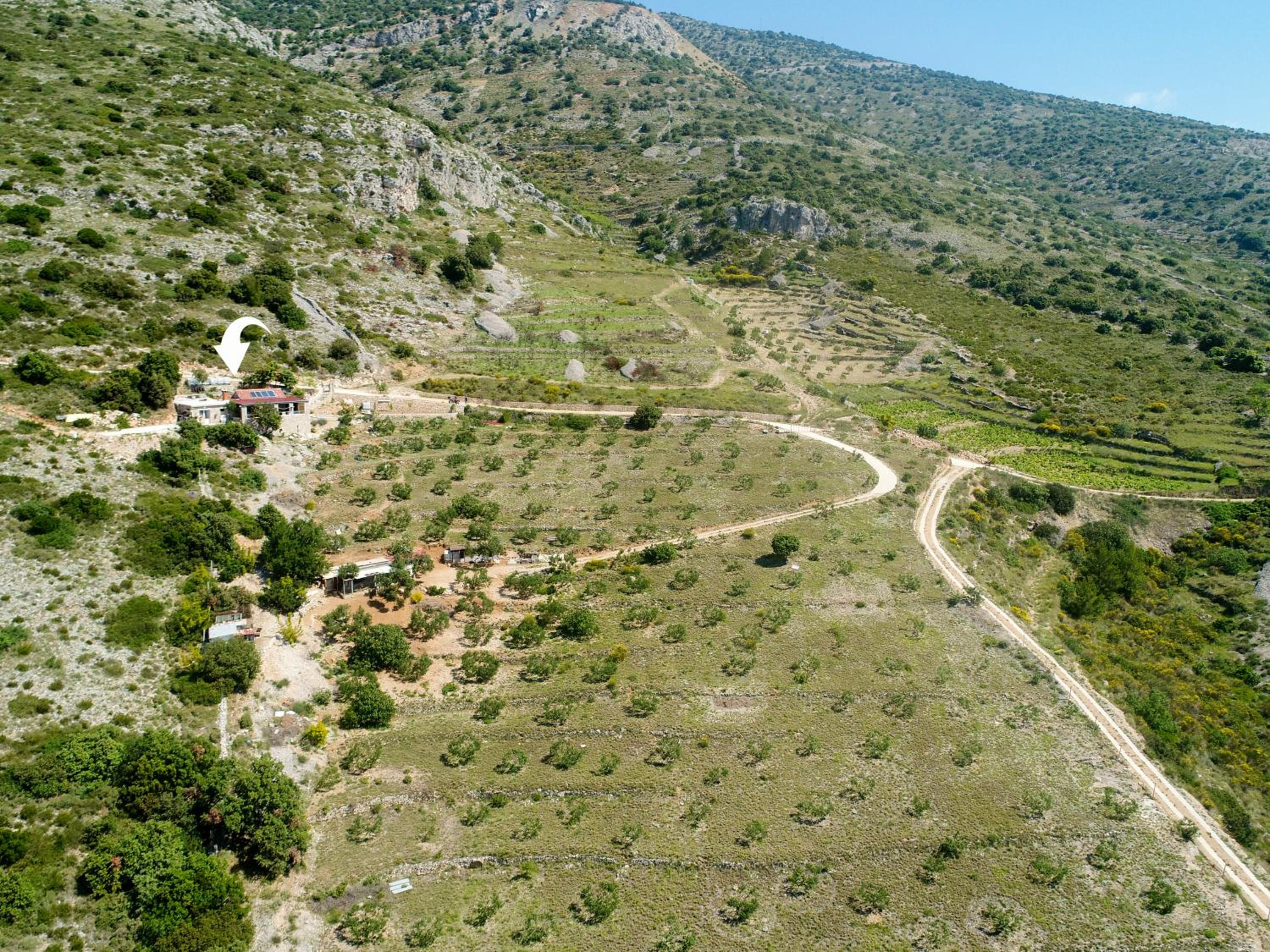 Photo 28
