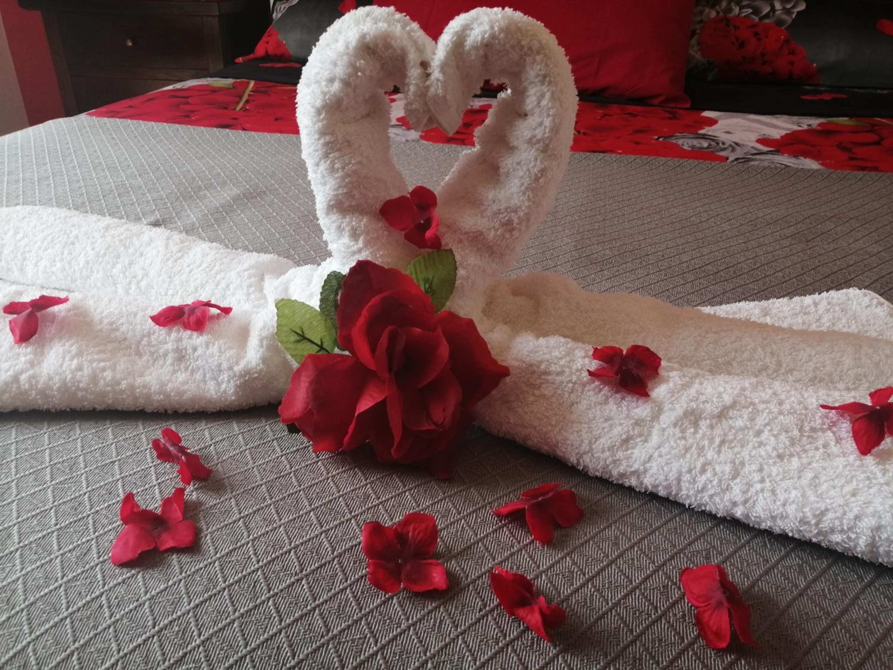 Villa Regina Accommodation photo 4