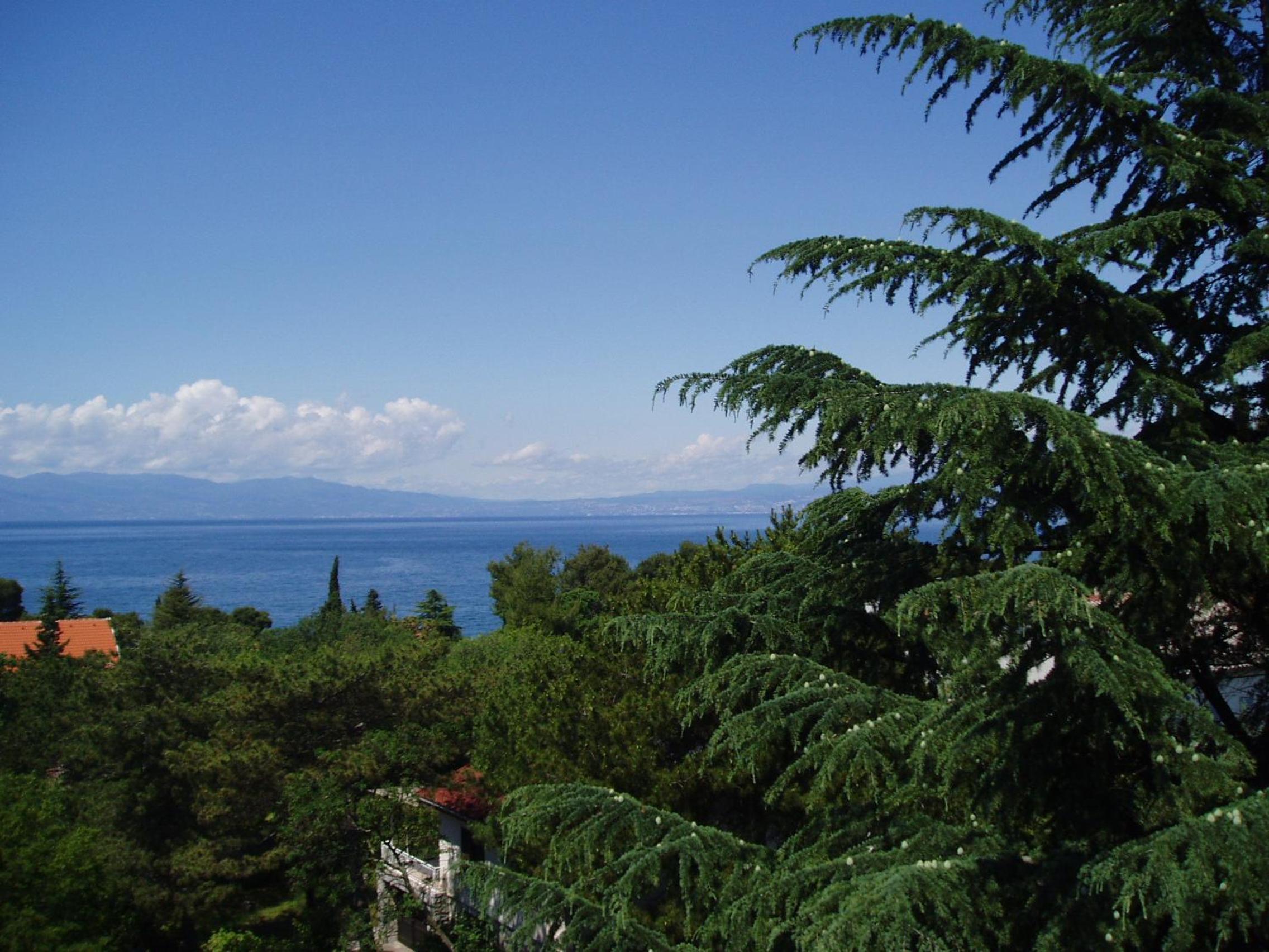 Apartments Villa Elizabet view 2