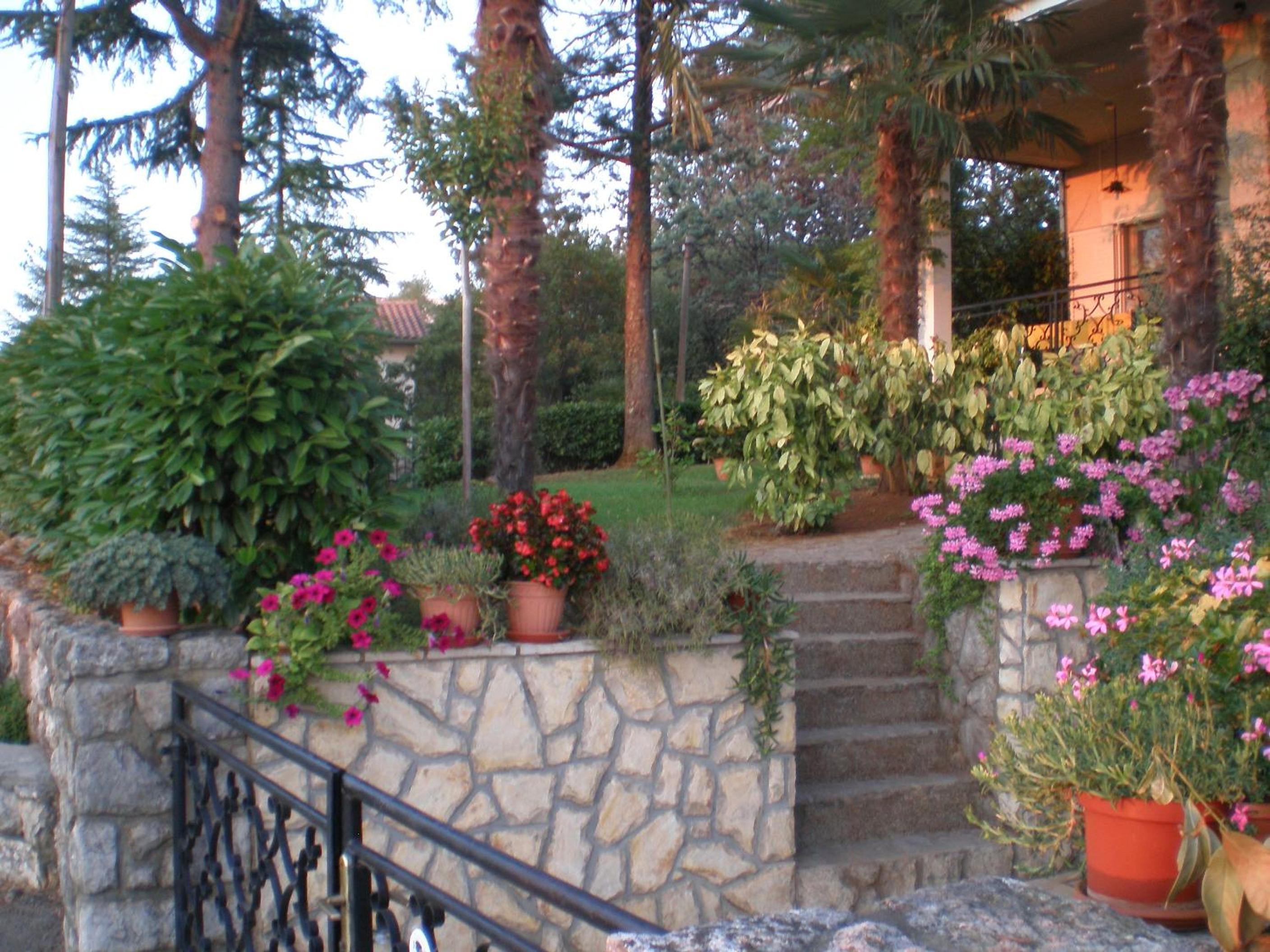 Photo 45