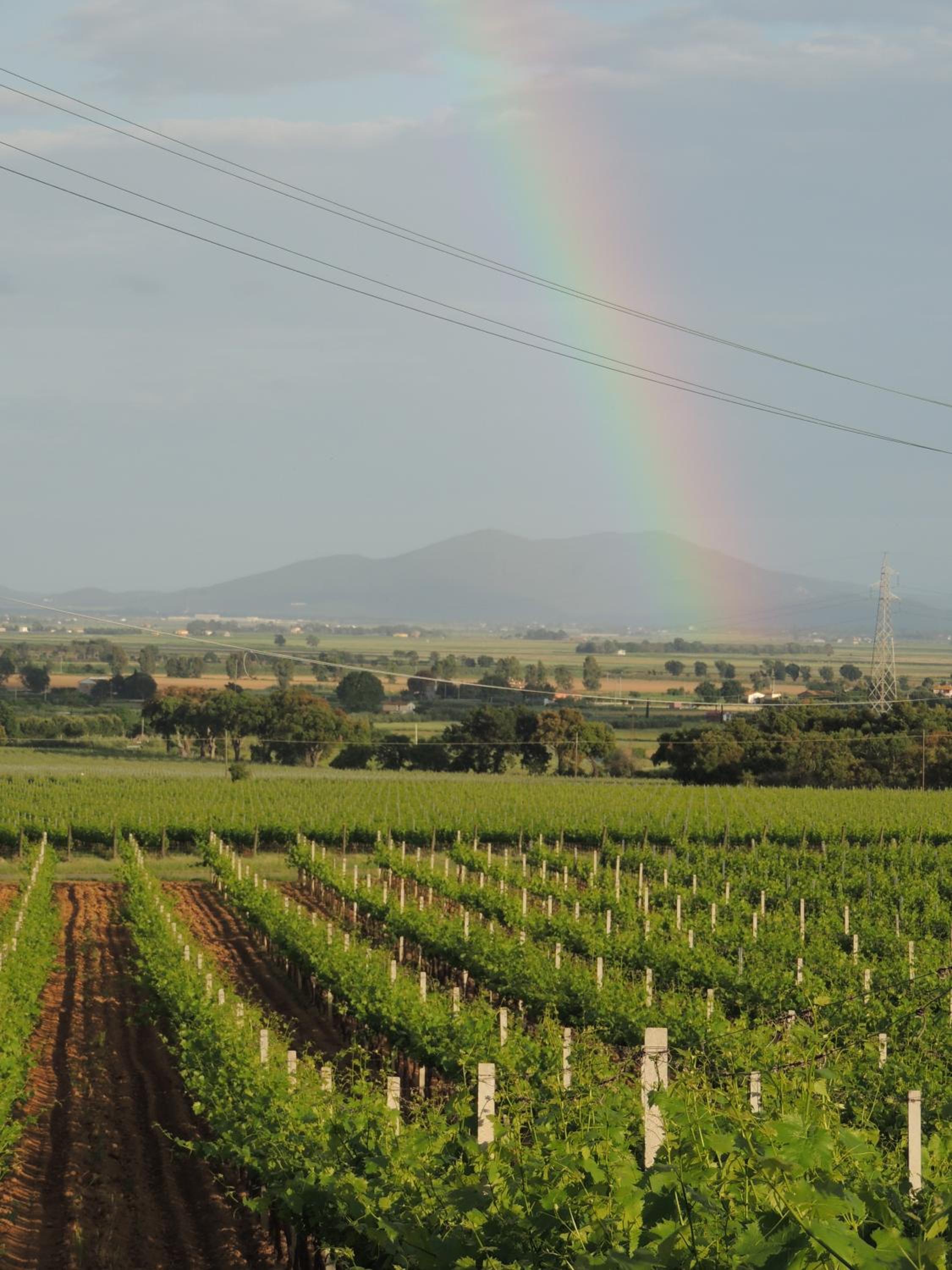 La Merla