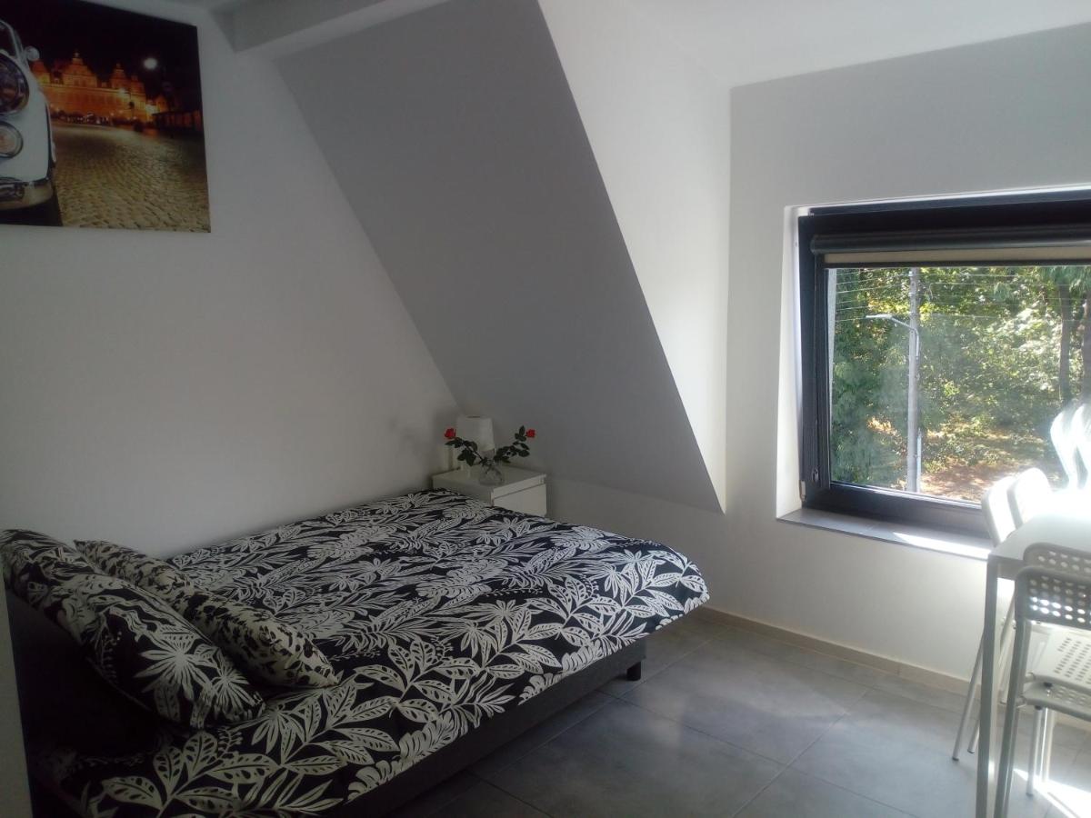 Villa Centrum, photo 54