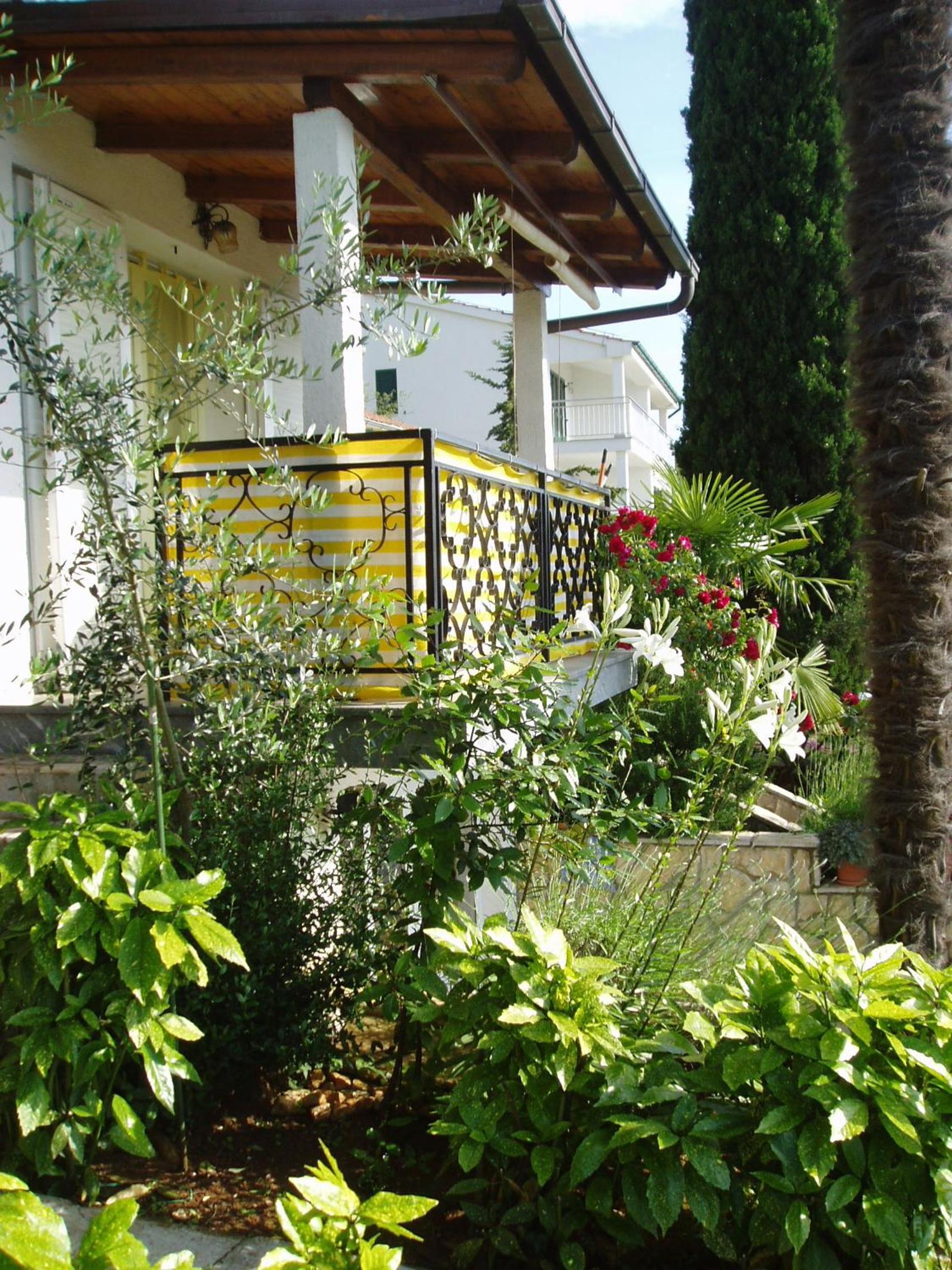 Photo 41
