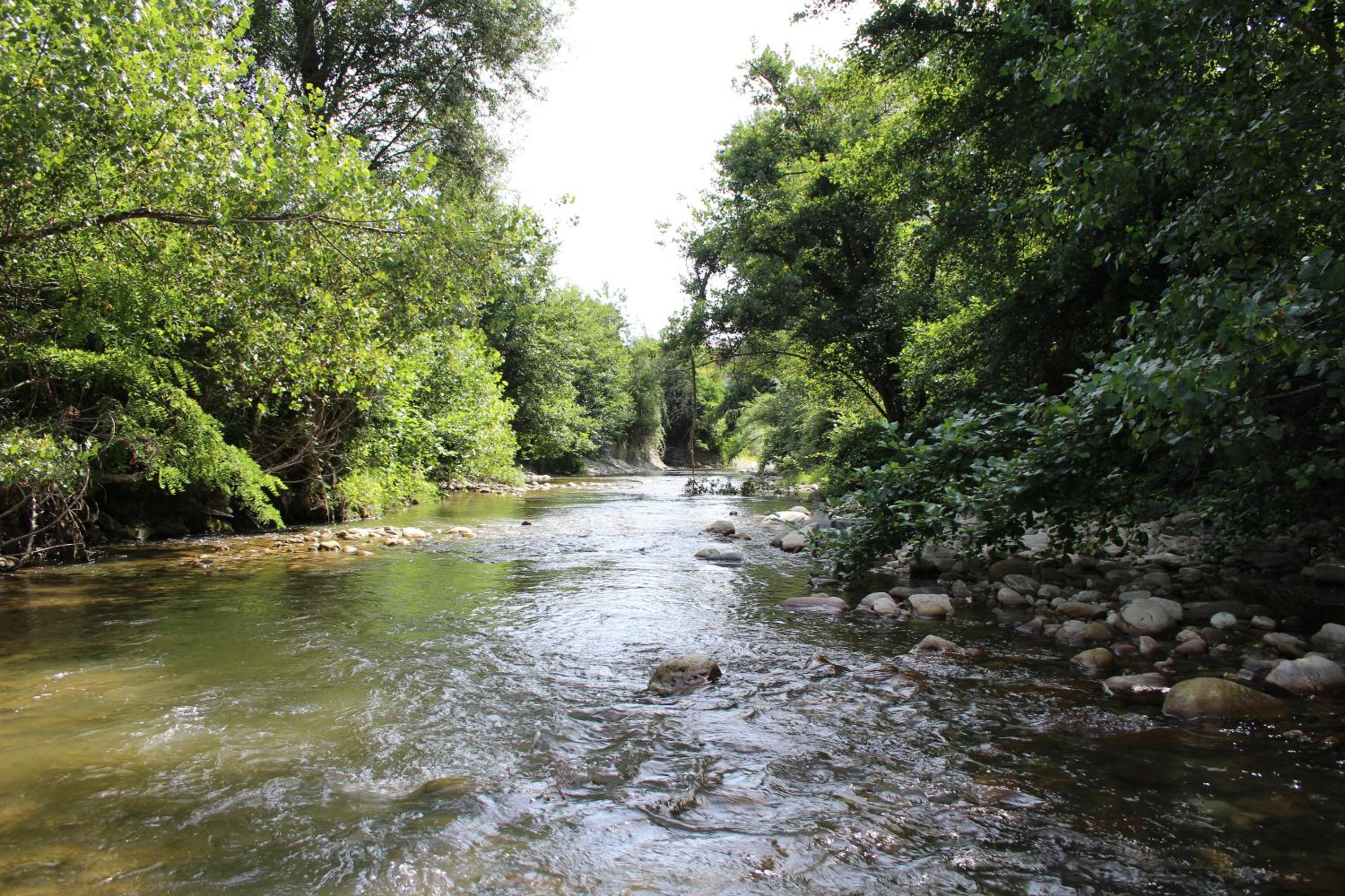 Photo 45