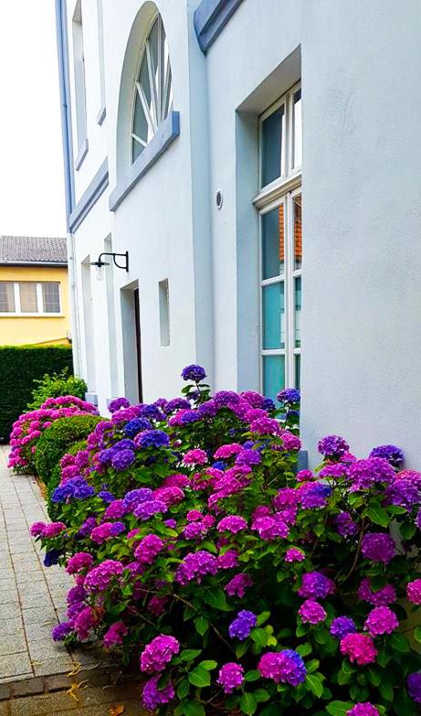 Hotel ZweiLinden Meckenheim Bonn