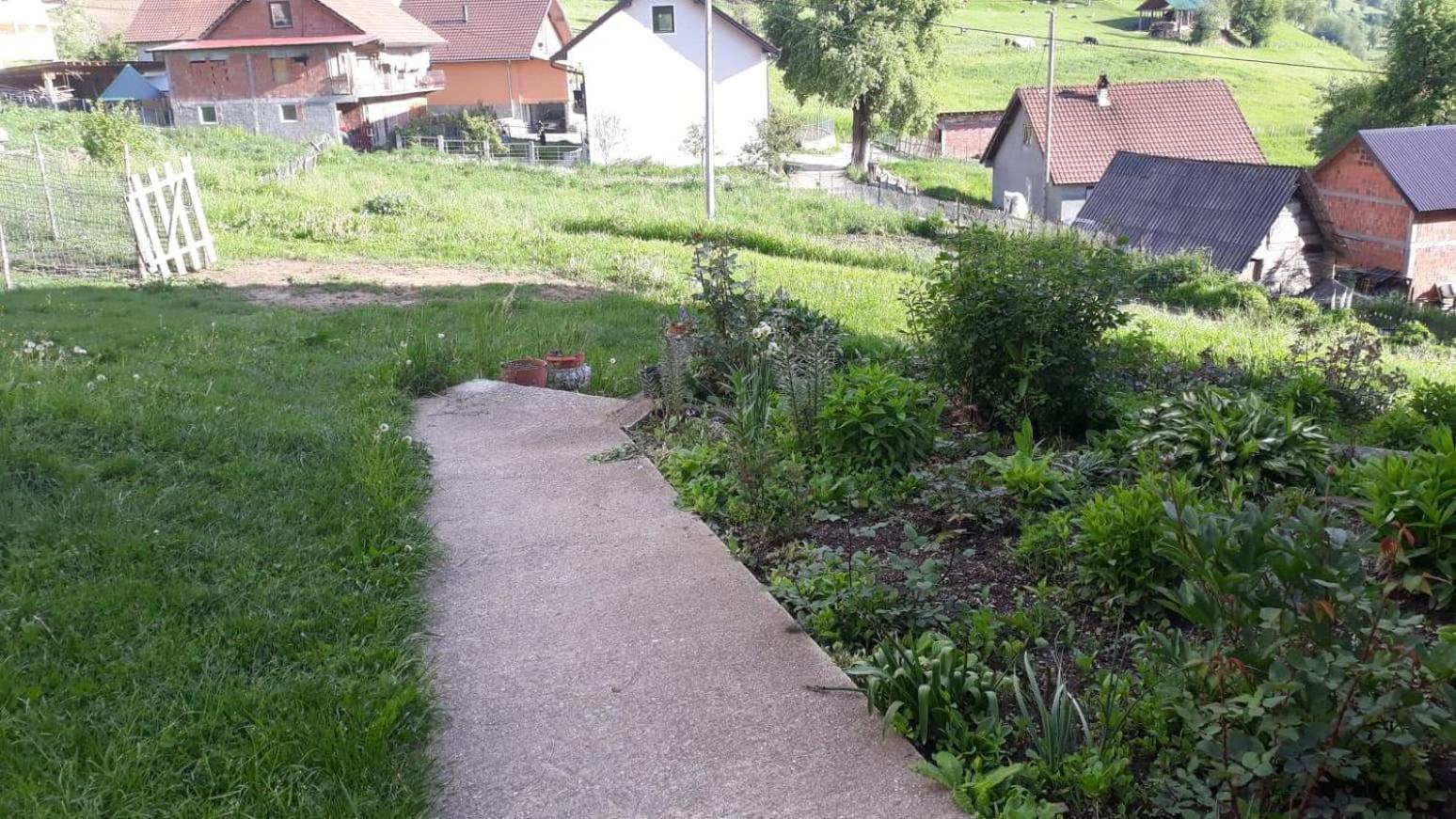 Photo 33