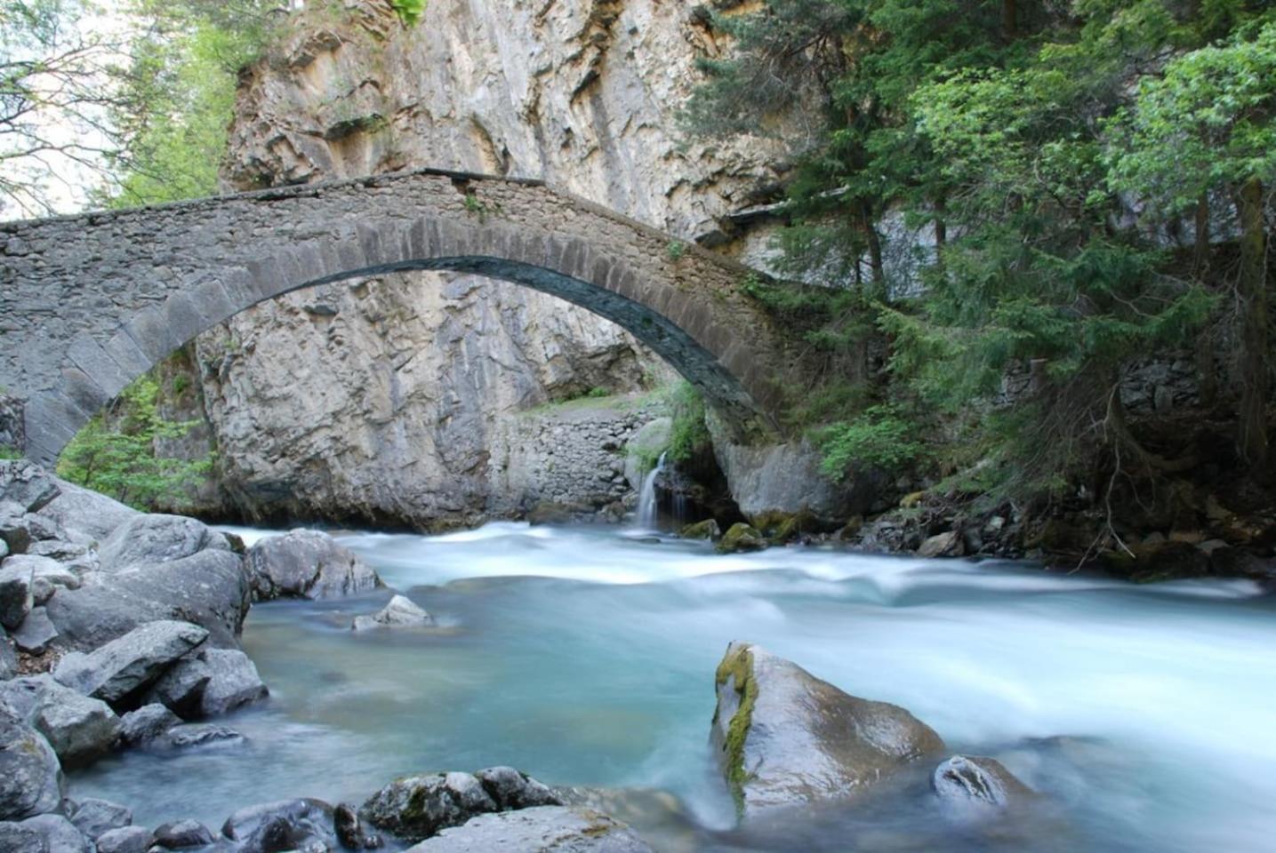 Photo 41