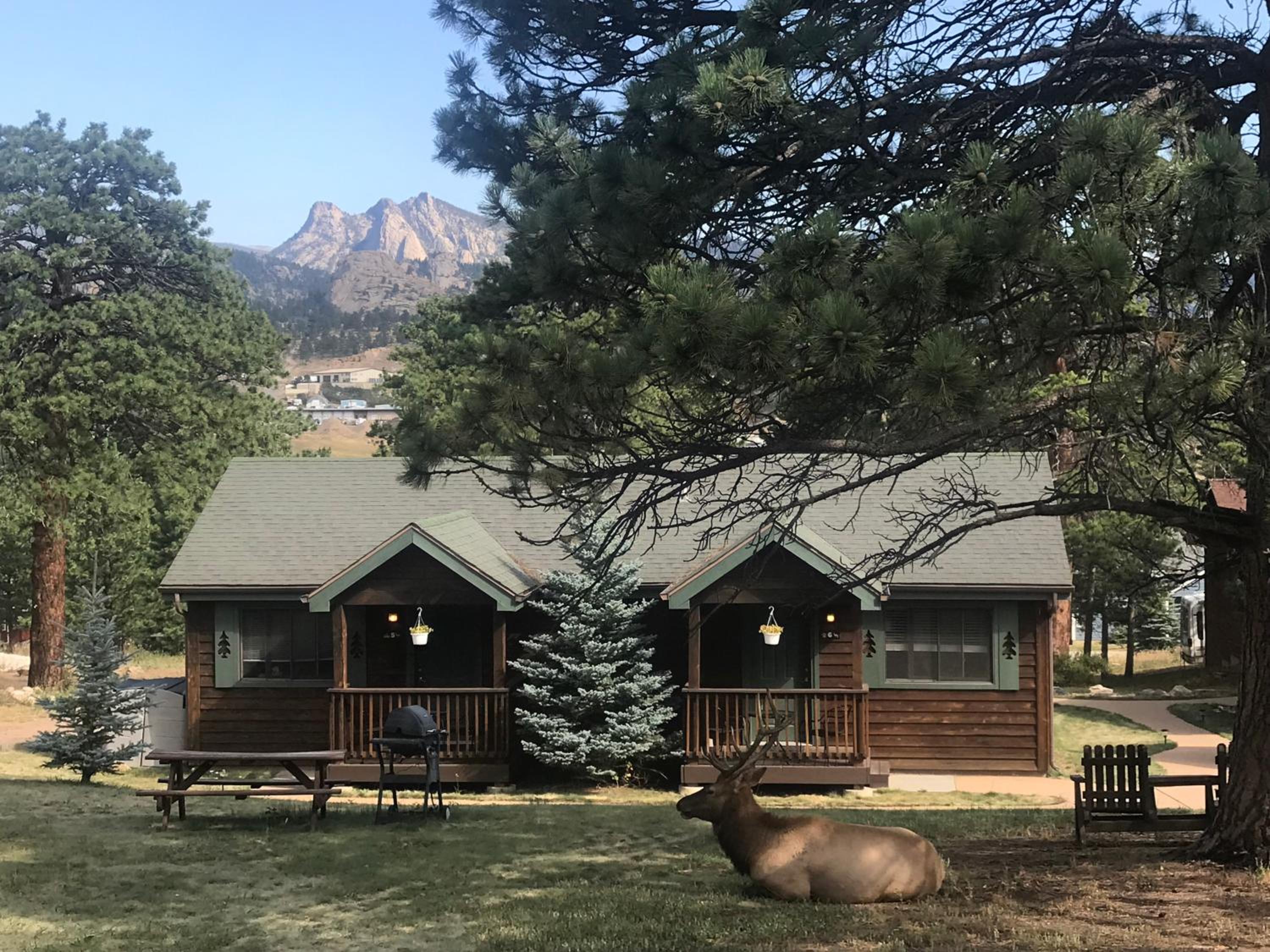 Mountain Shadows Cabins view 5