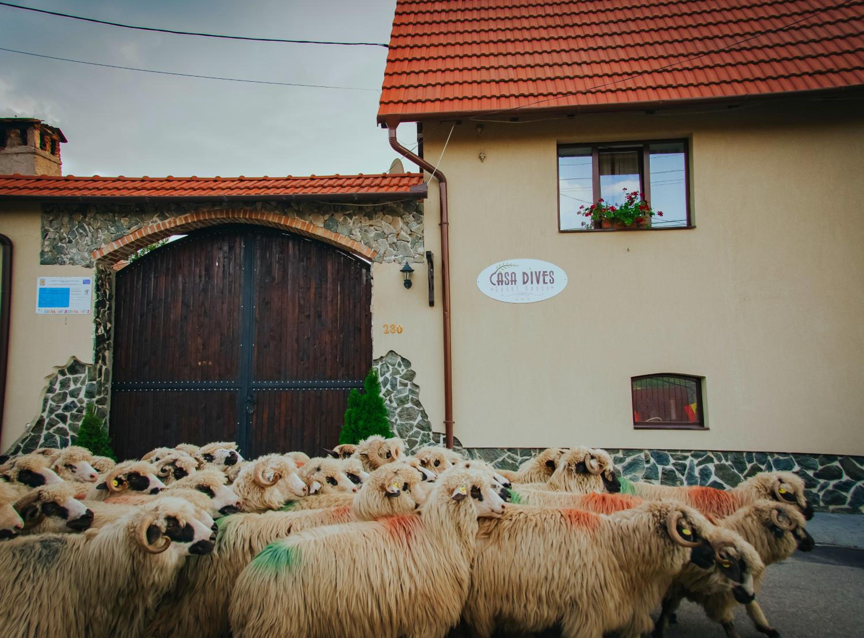 Casa Dives - Varianta Boierească
