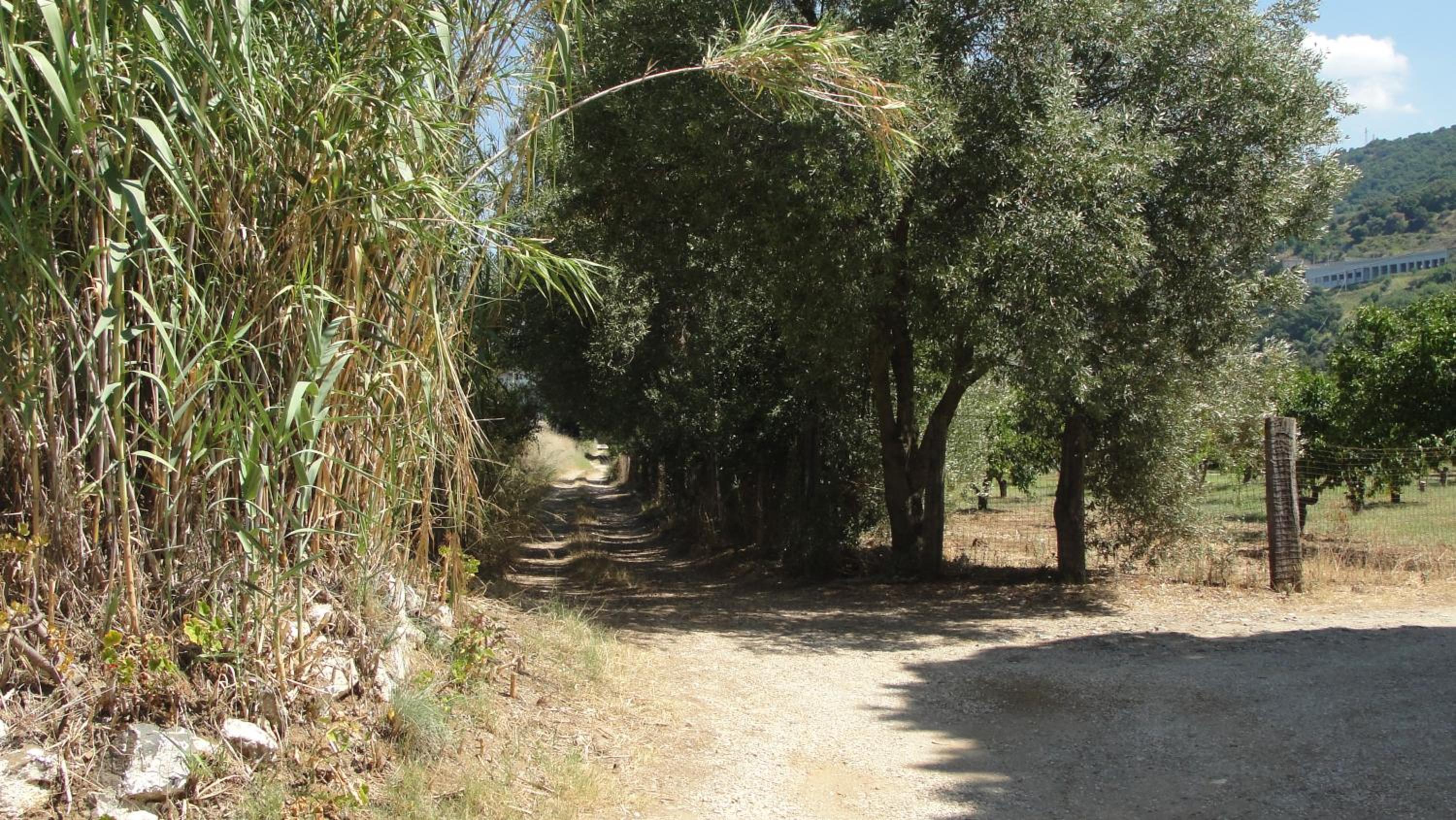 Villa Primaluce photo 5