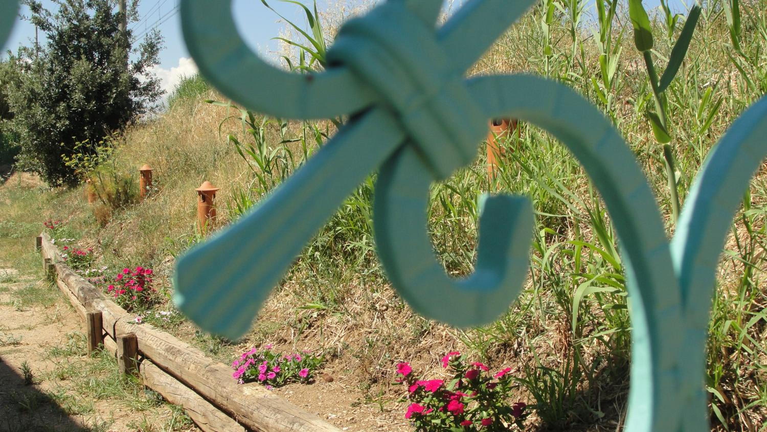 Villa Primaluce photo 4