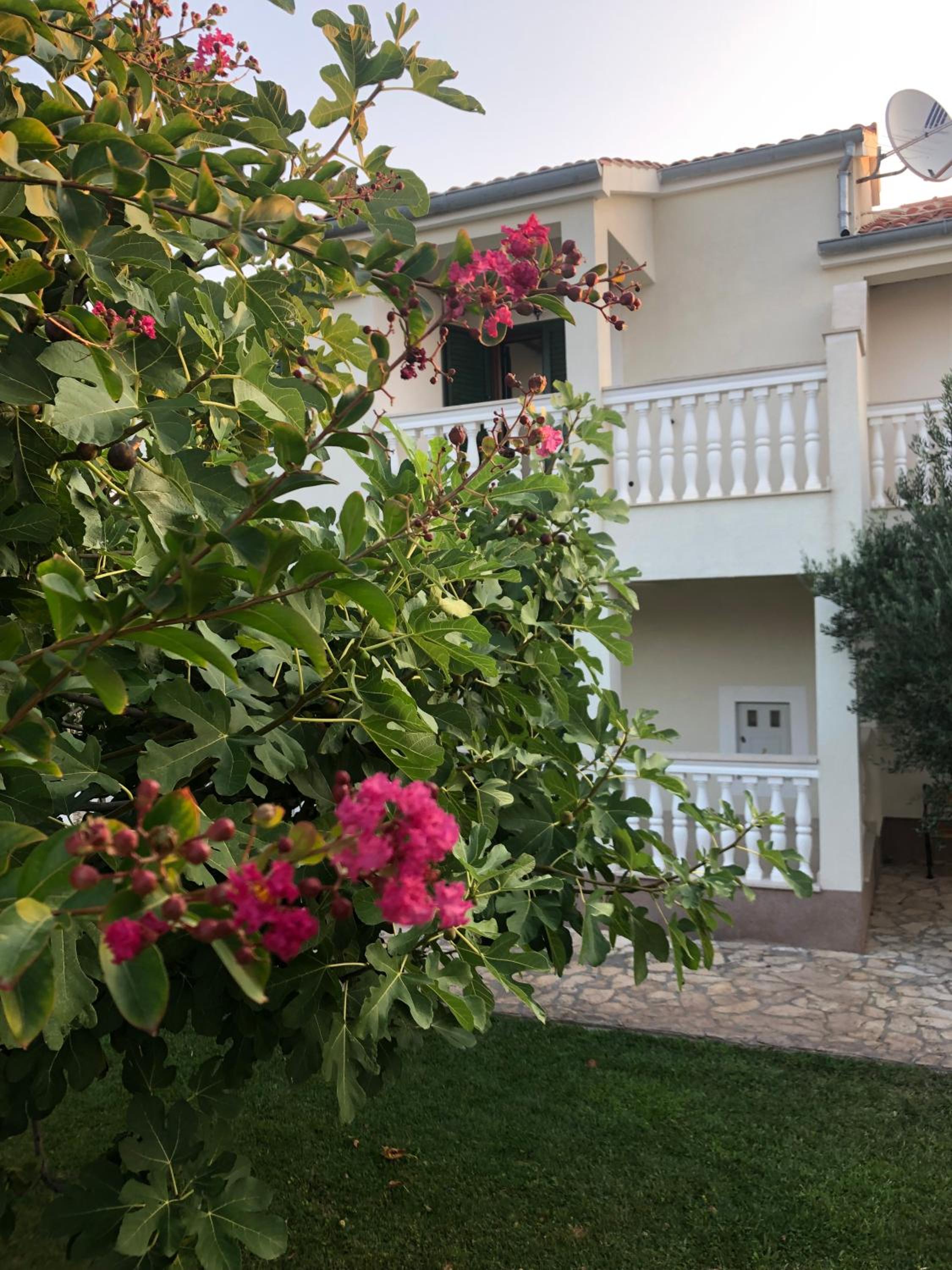 Villa Olive Grove Ferienhaus in Kroatien direkt am Meer nahe Zadar und Nin view 4
