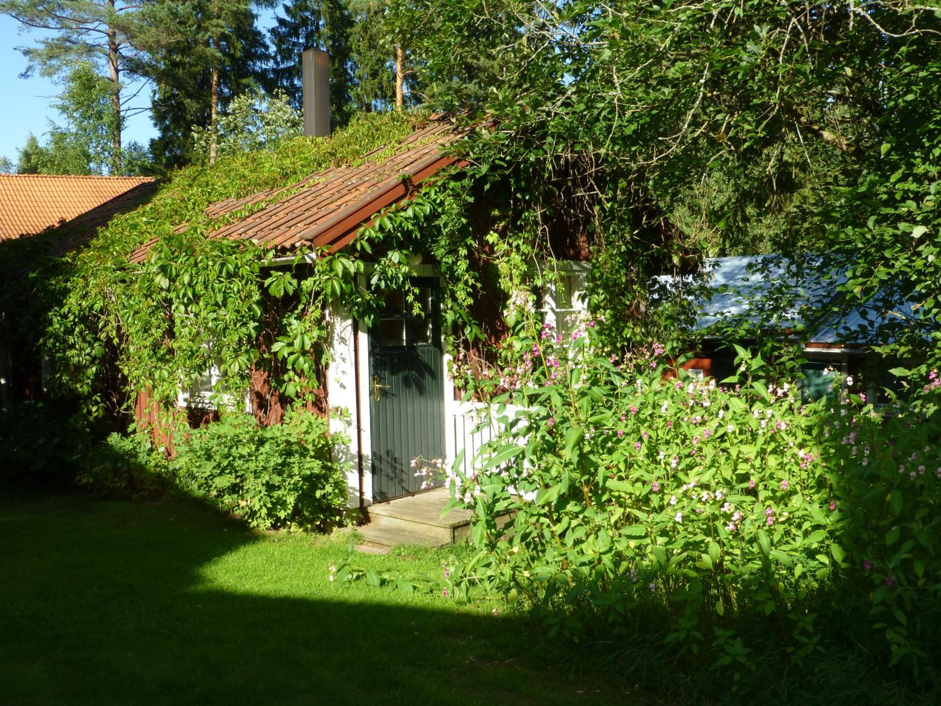Photo 25