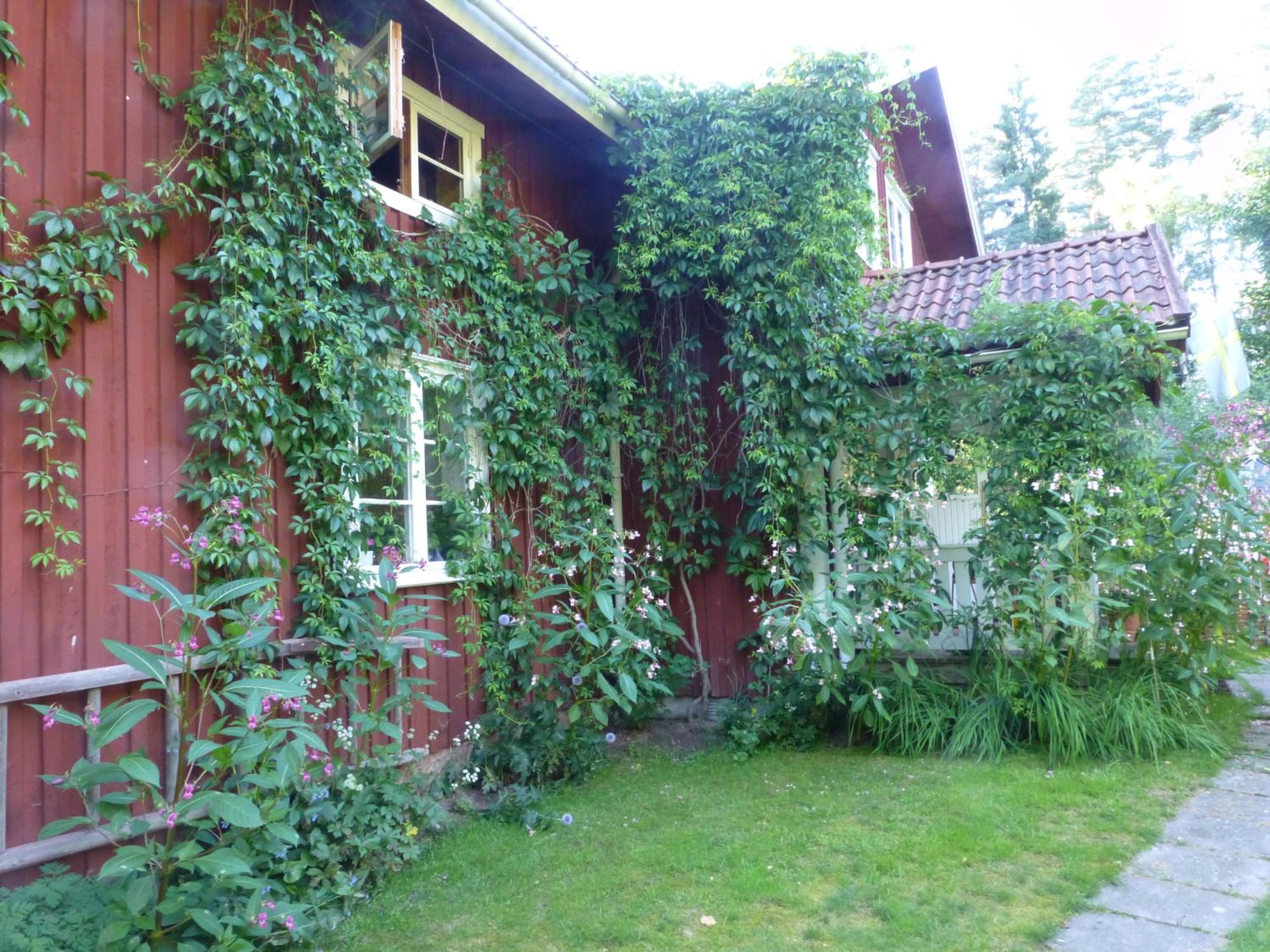 Photo 84