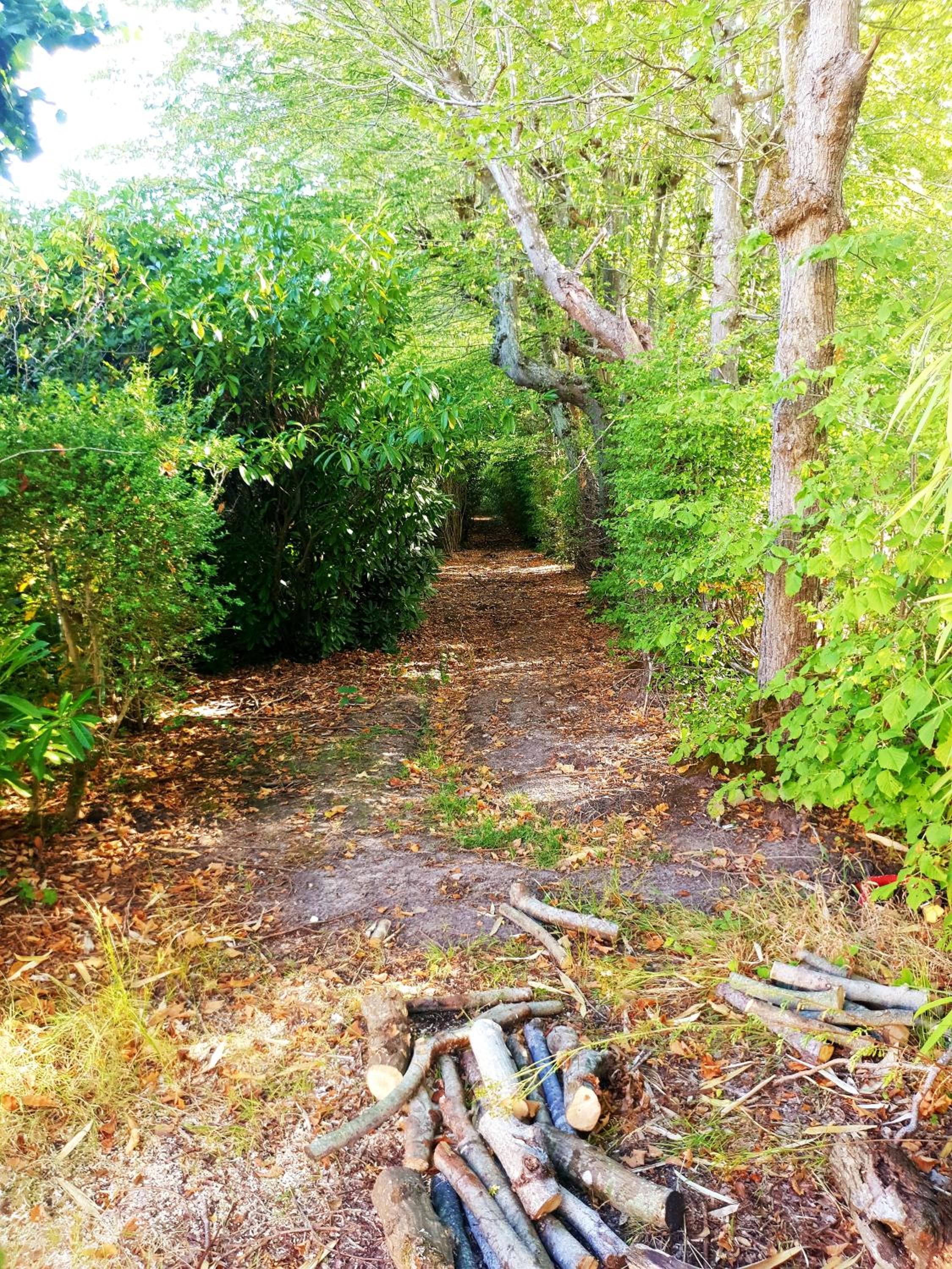 Photo 36