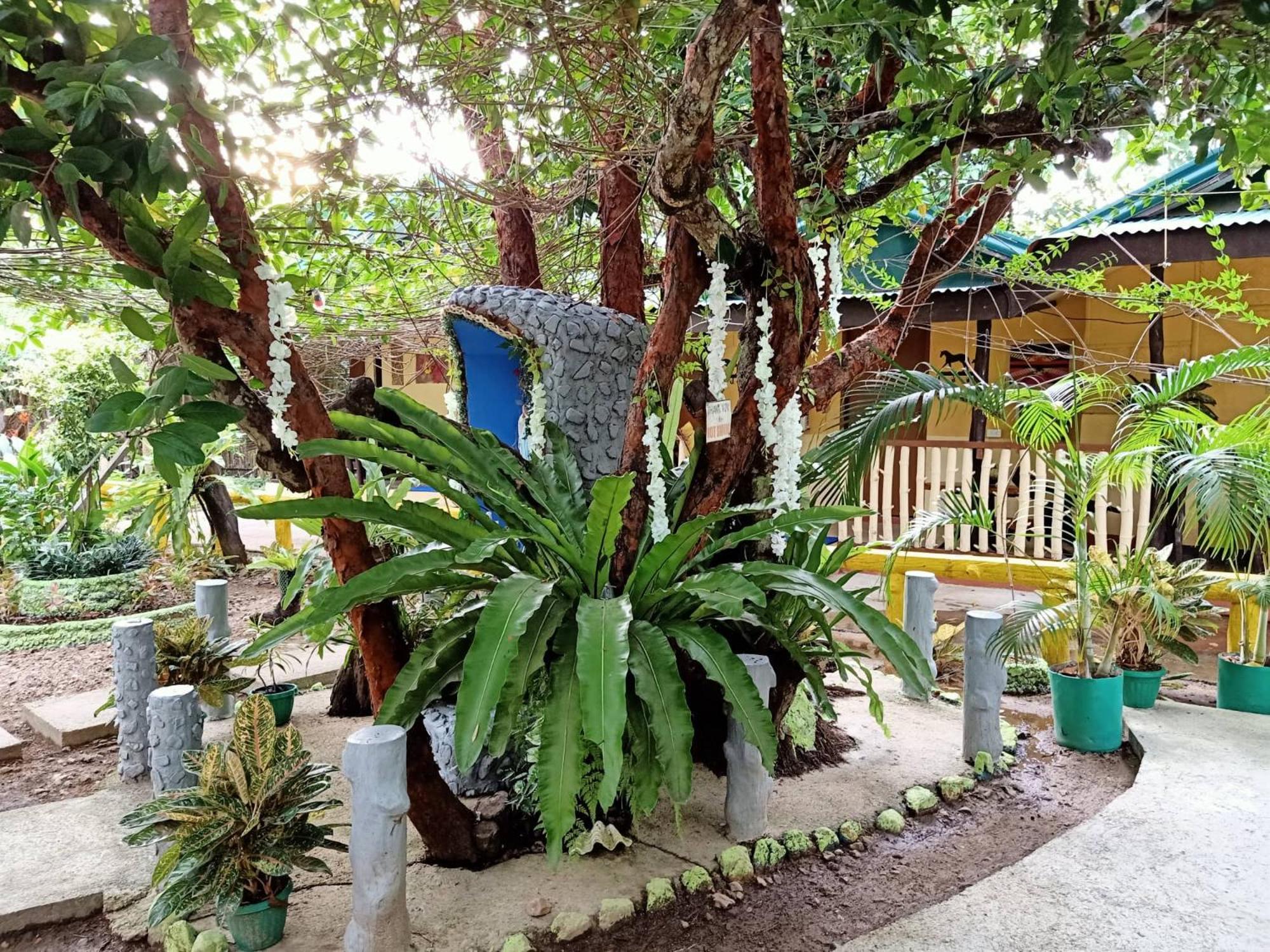 Photo 21
