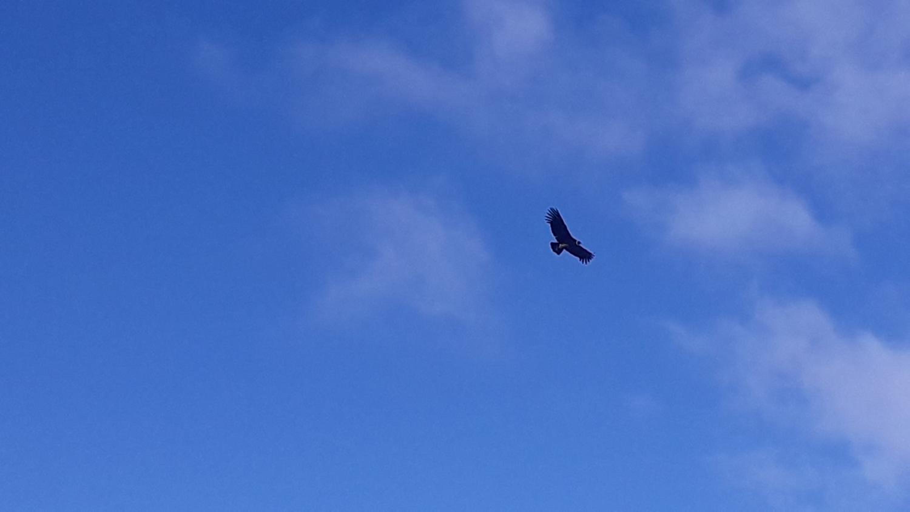 Domo Carpe diem Patagonia
