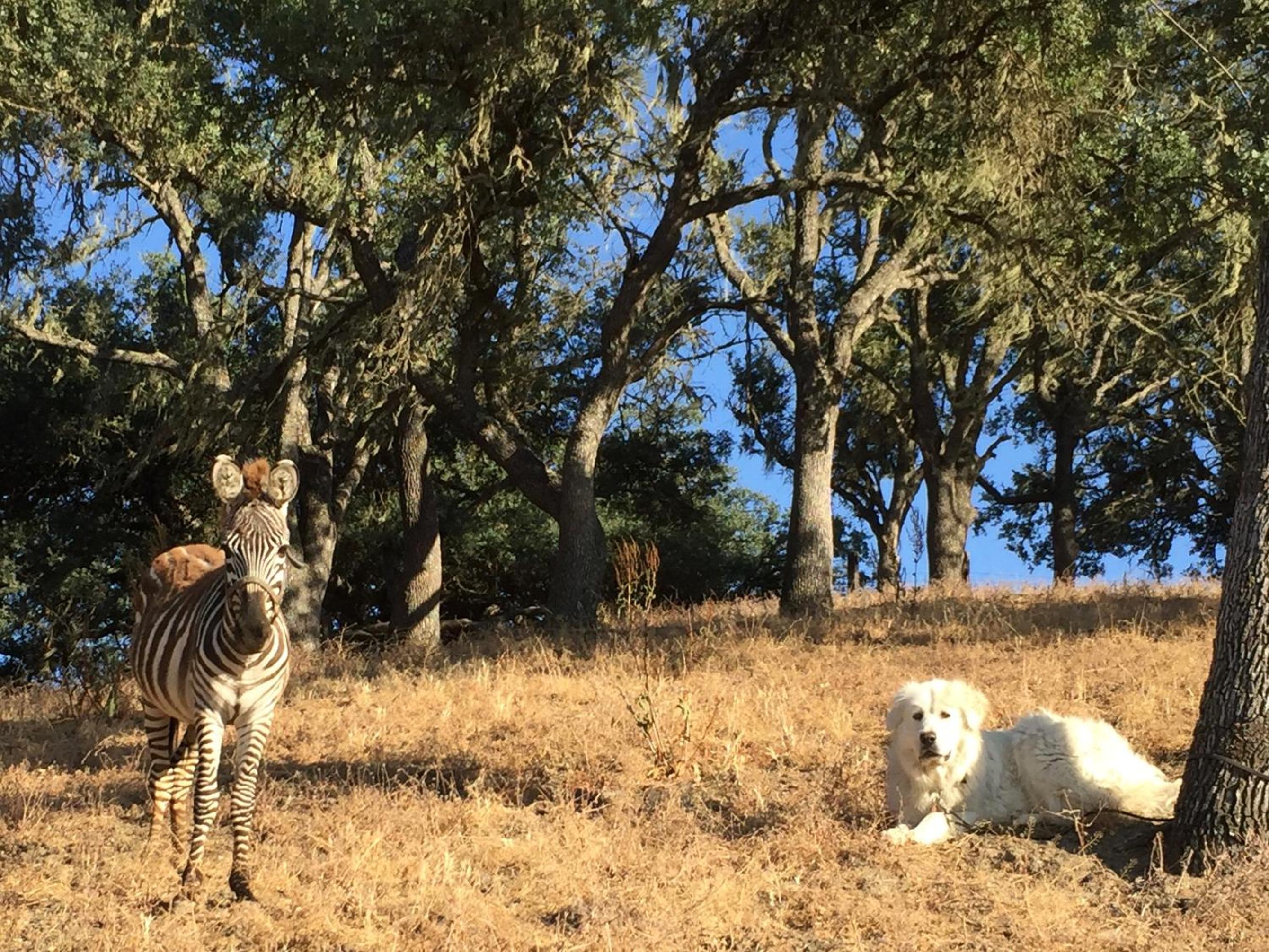 other