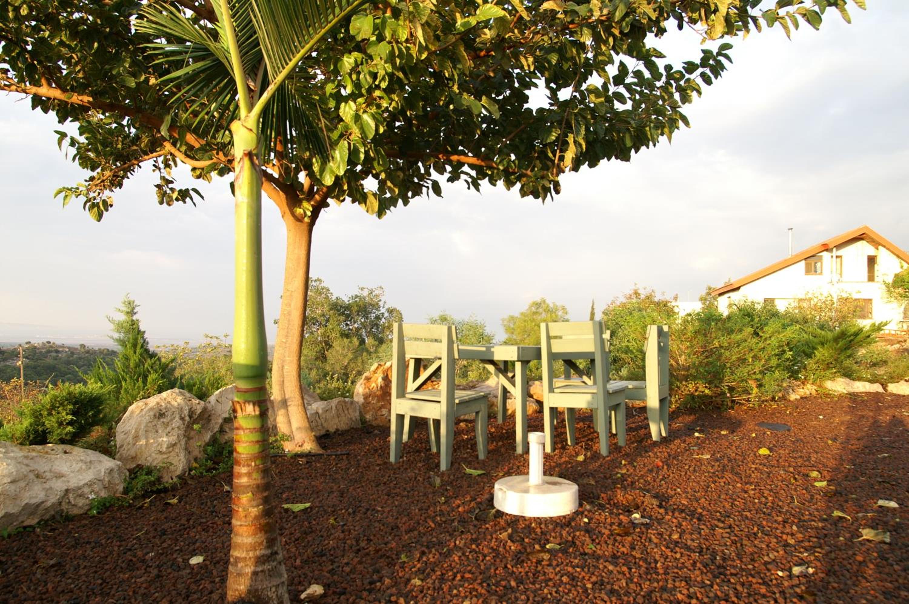 Photo 12