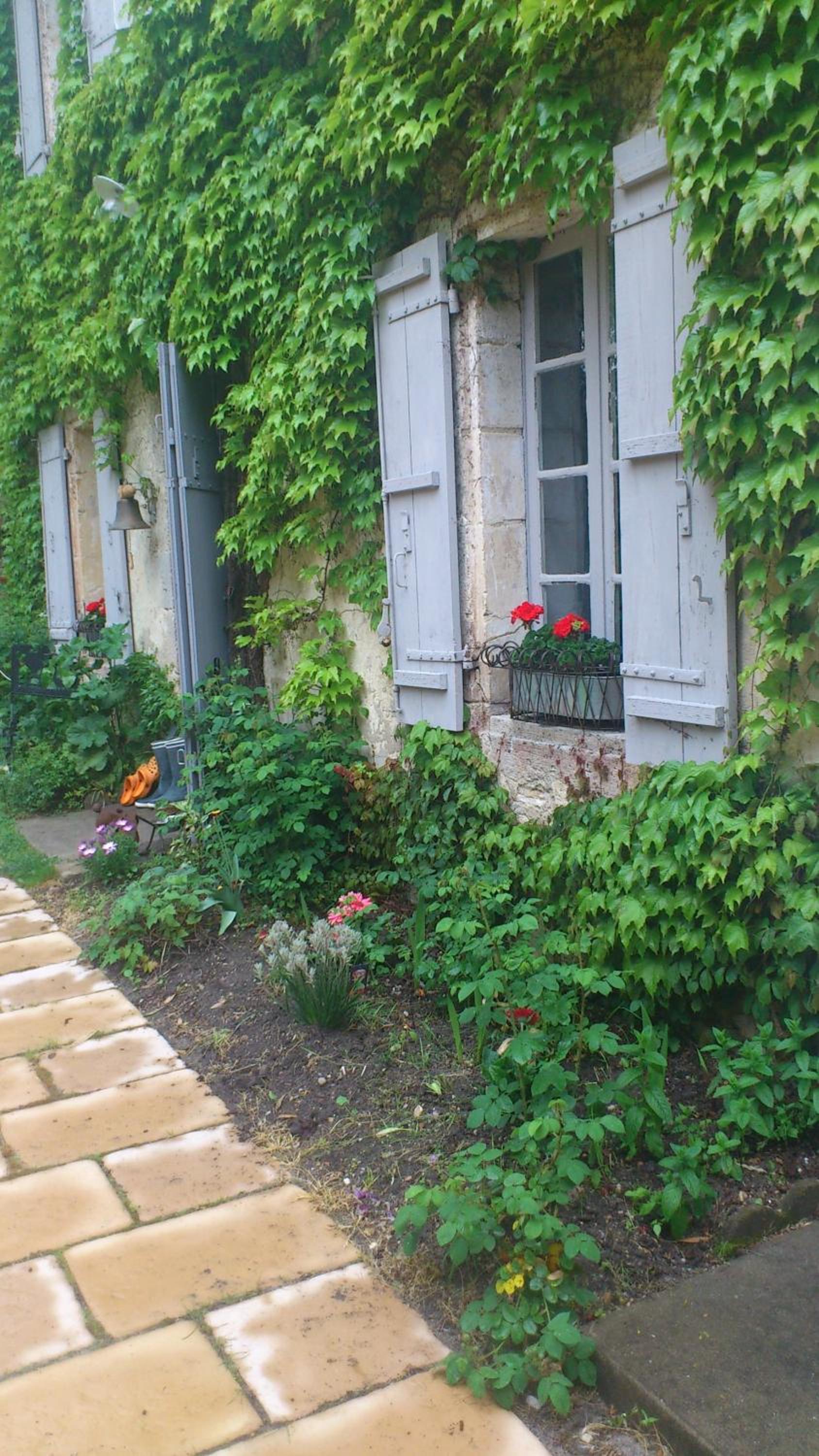 Photo 41