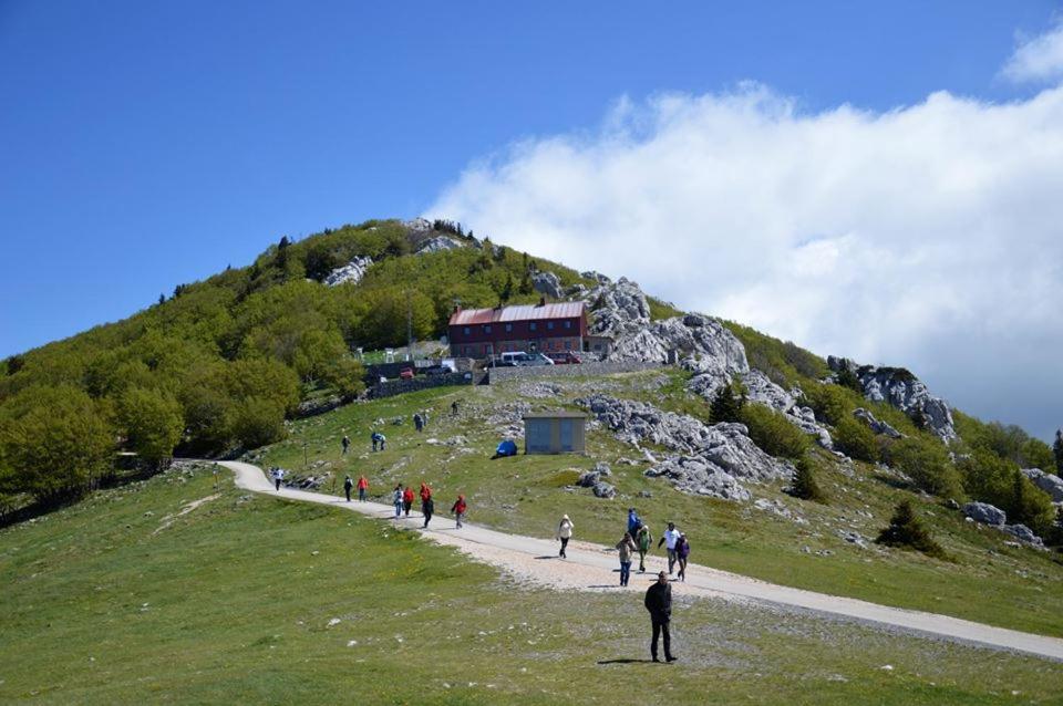 Apartmani Ruza view 5
