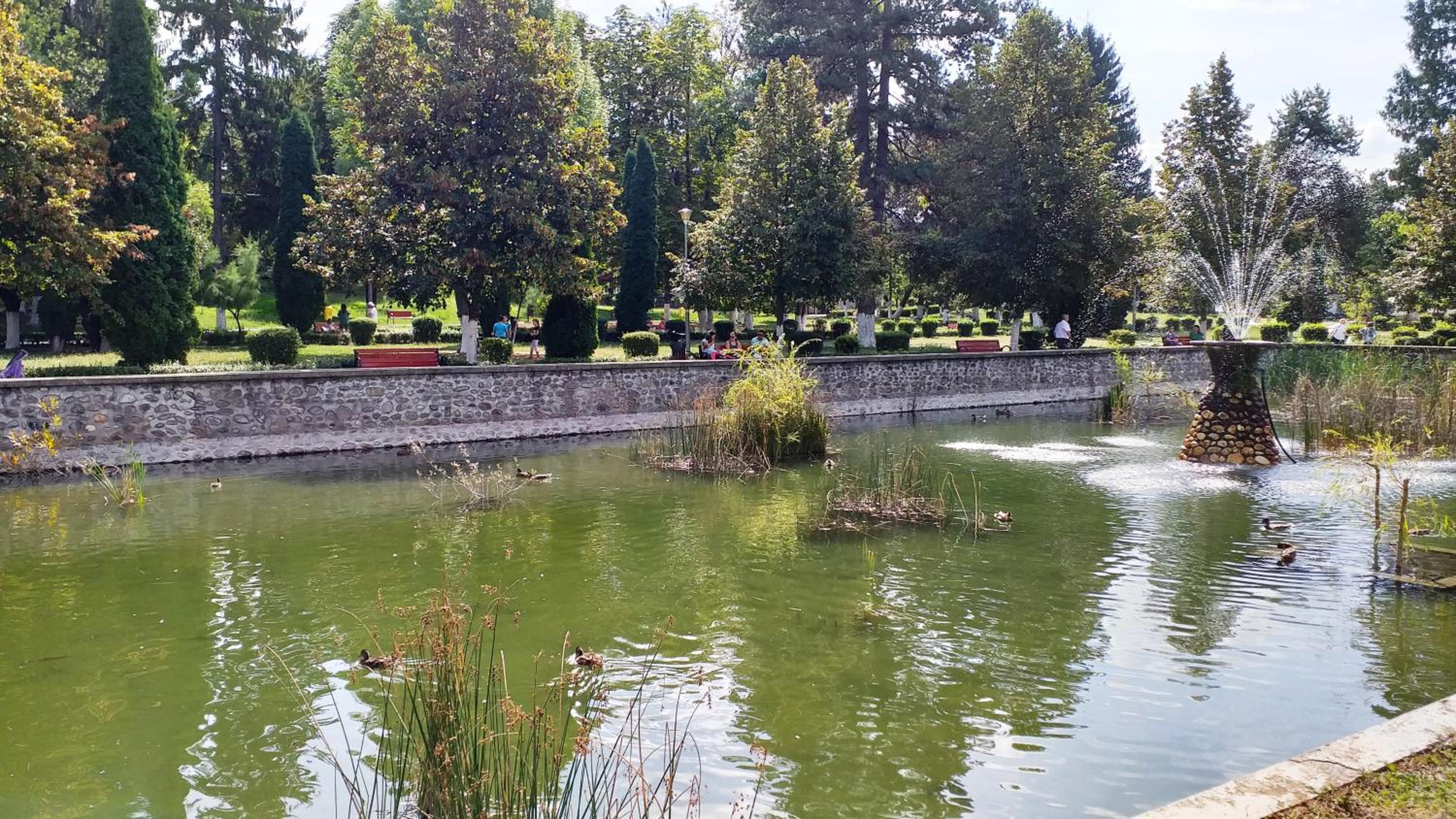 Photo 49