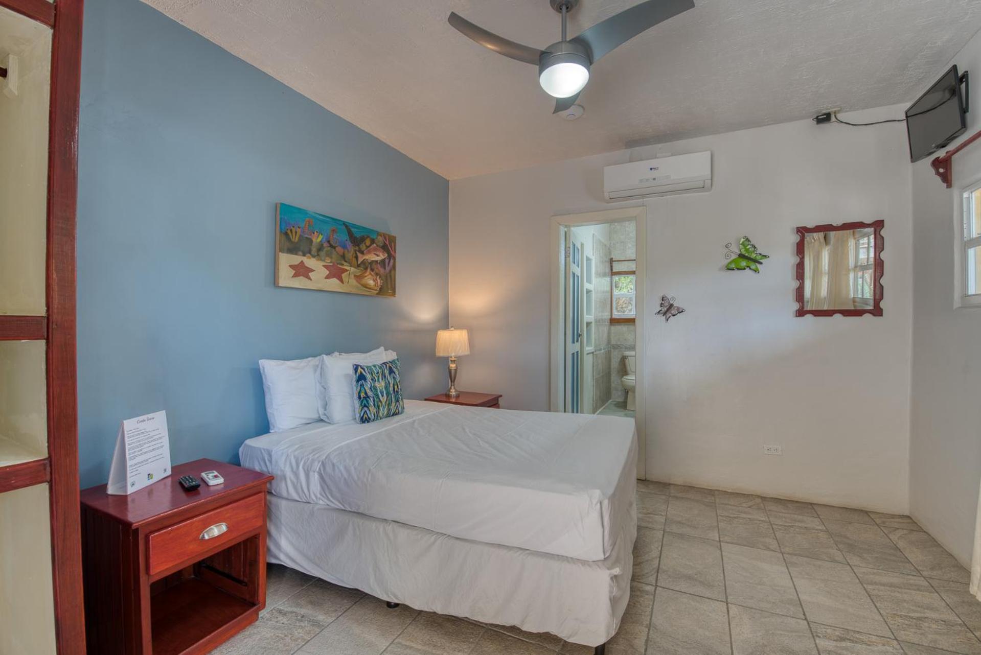 Caribe Tesoro - Photo 164