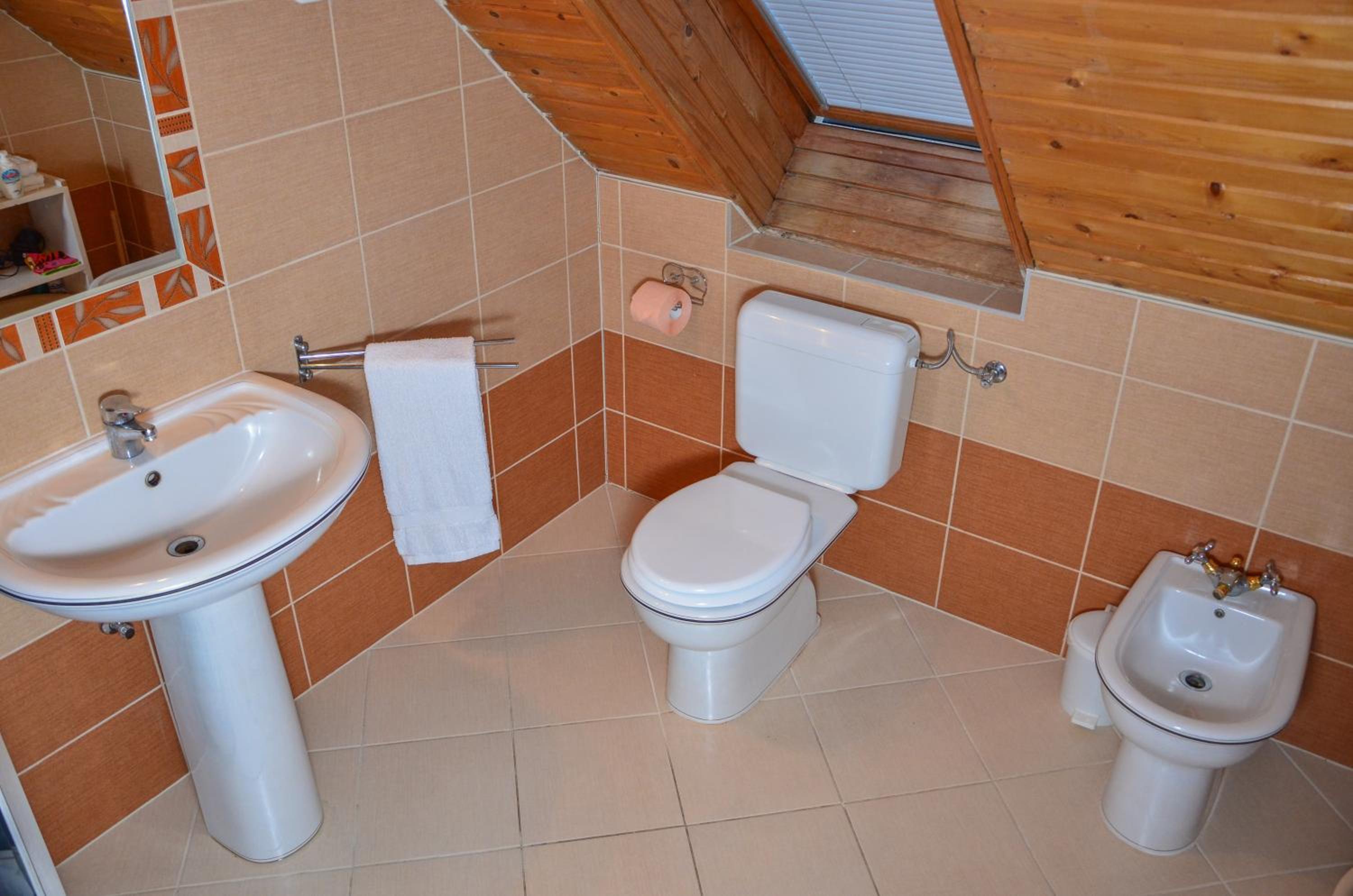 Photo 50