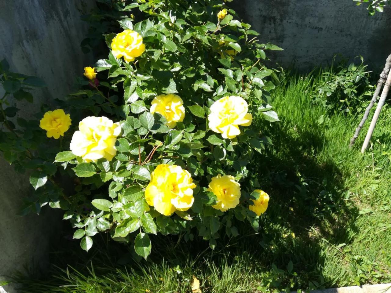 Photo 59