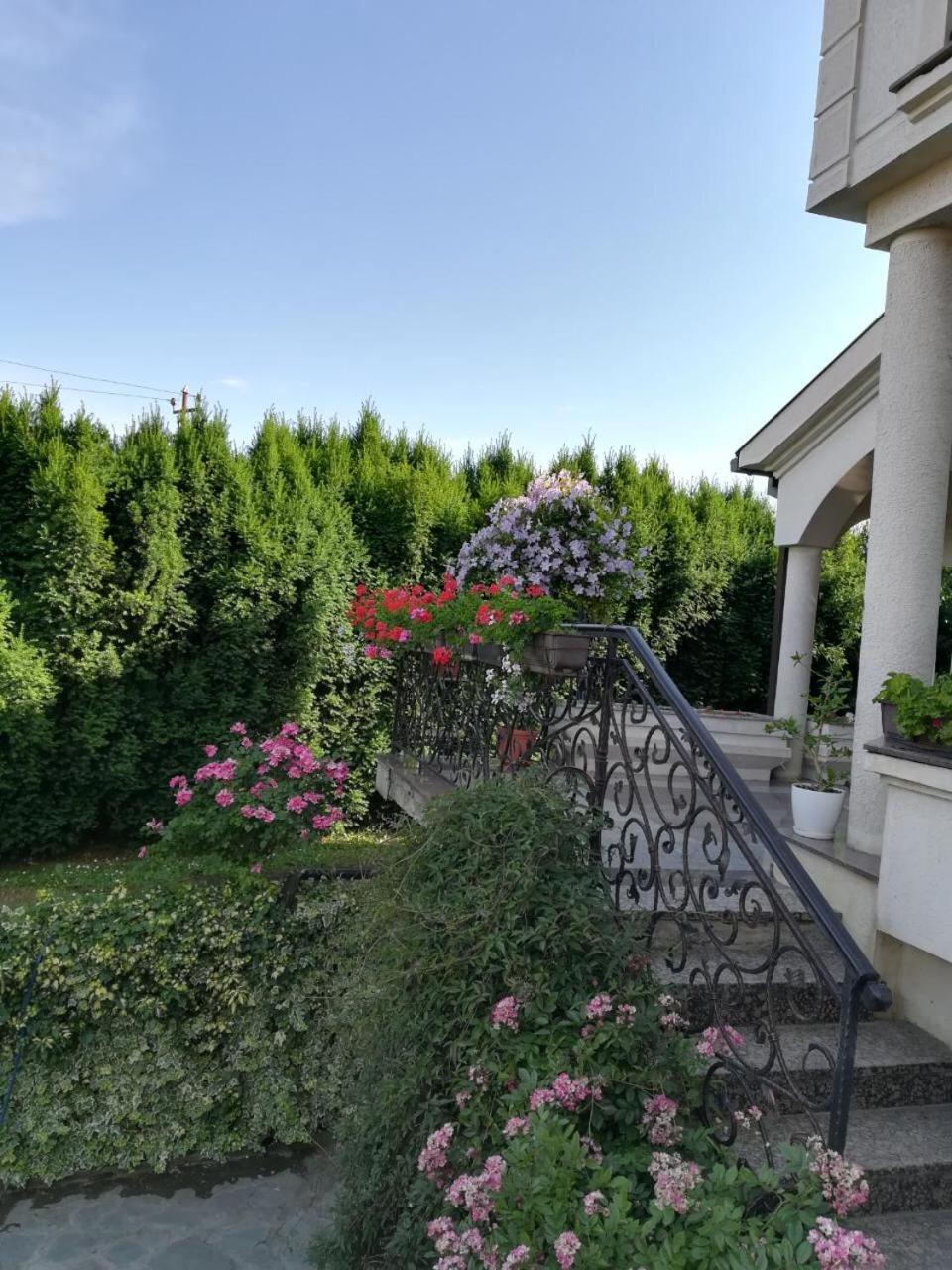 Sentic Residence view 3