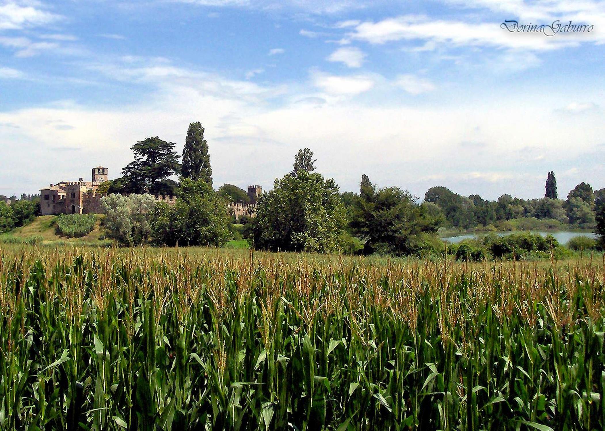 Al Torcol Agriturismo