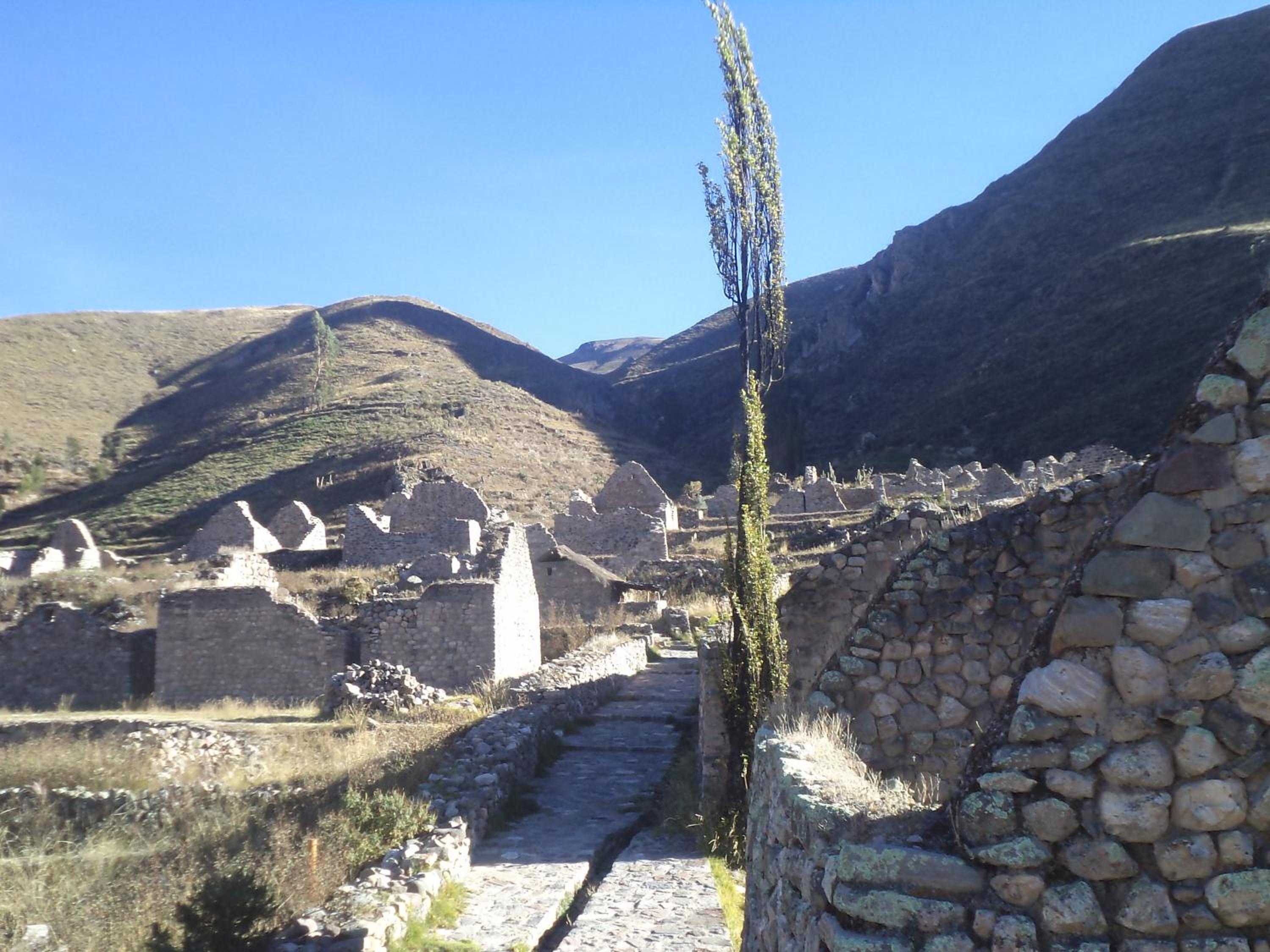Photo 14