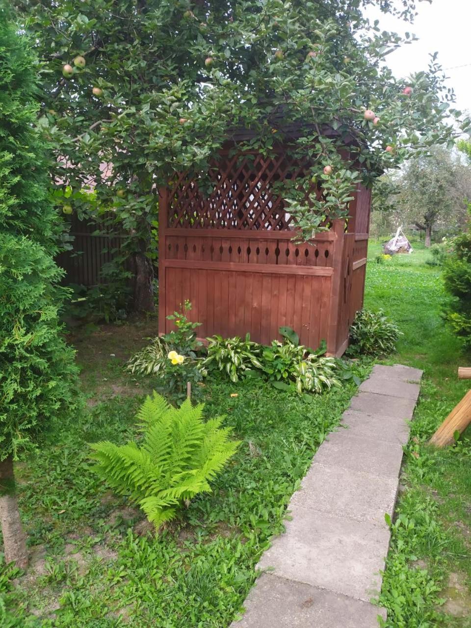 Photo 6
