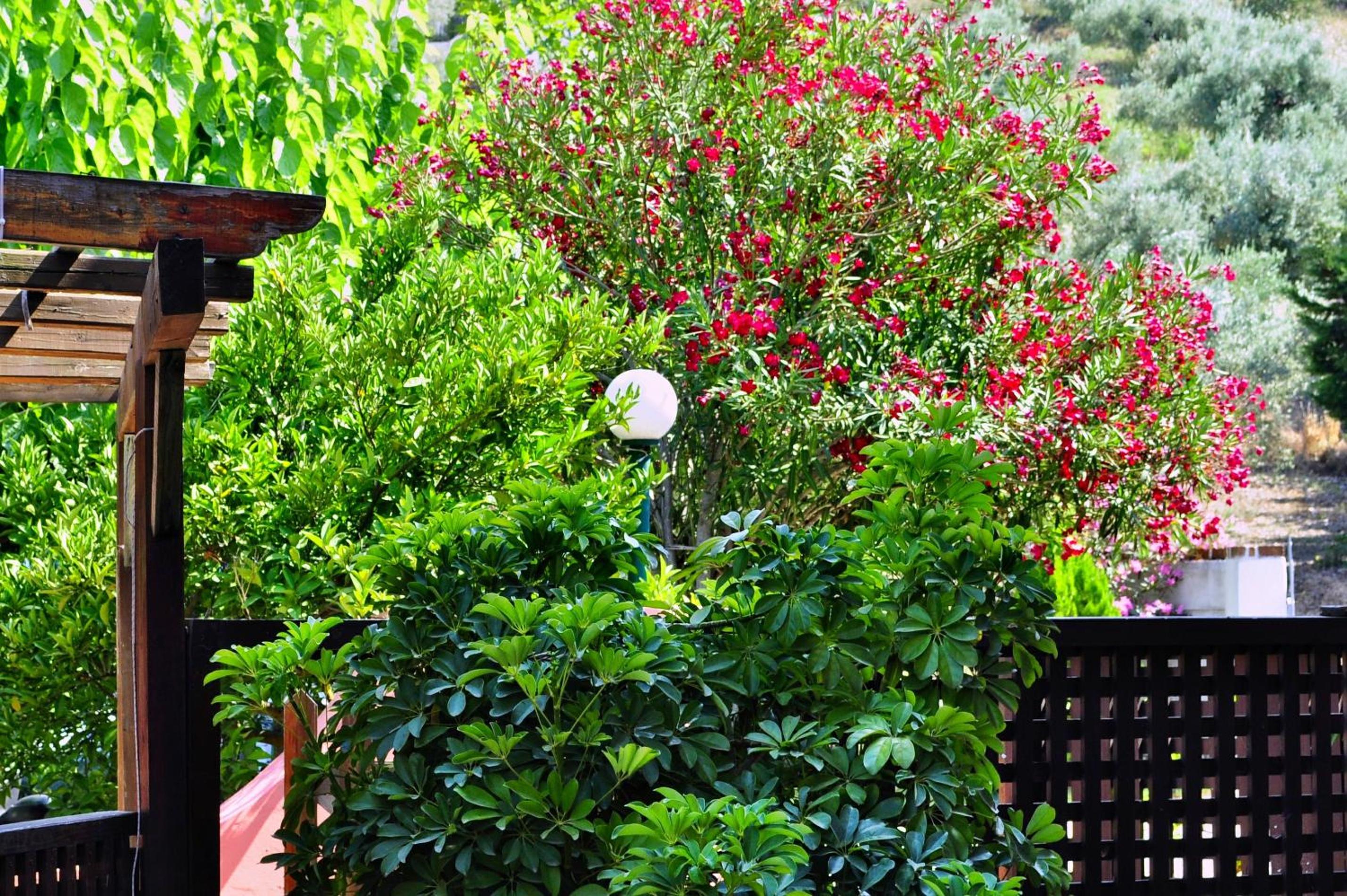 Outdoor Space