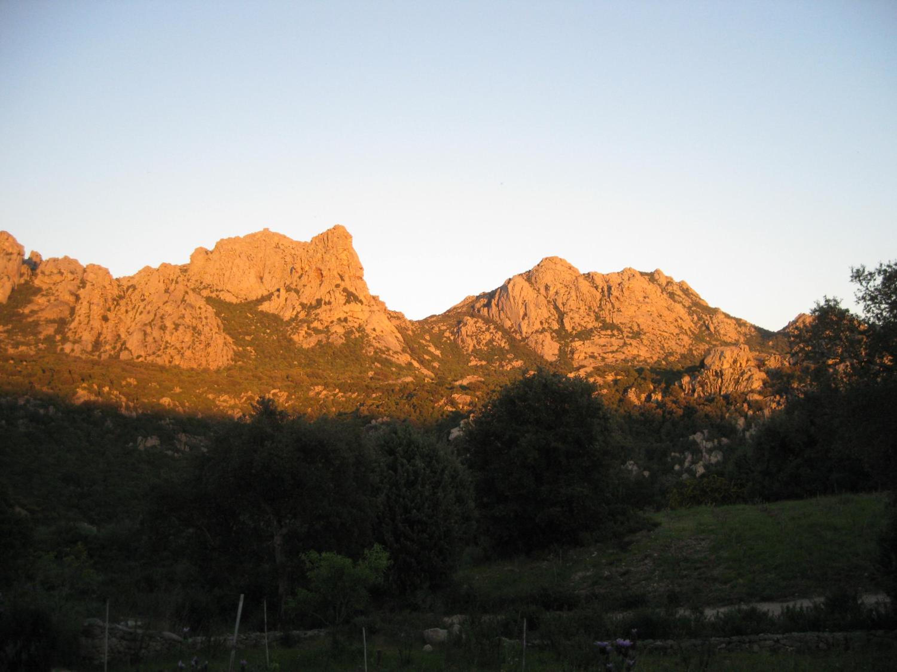 Photo 34