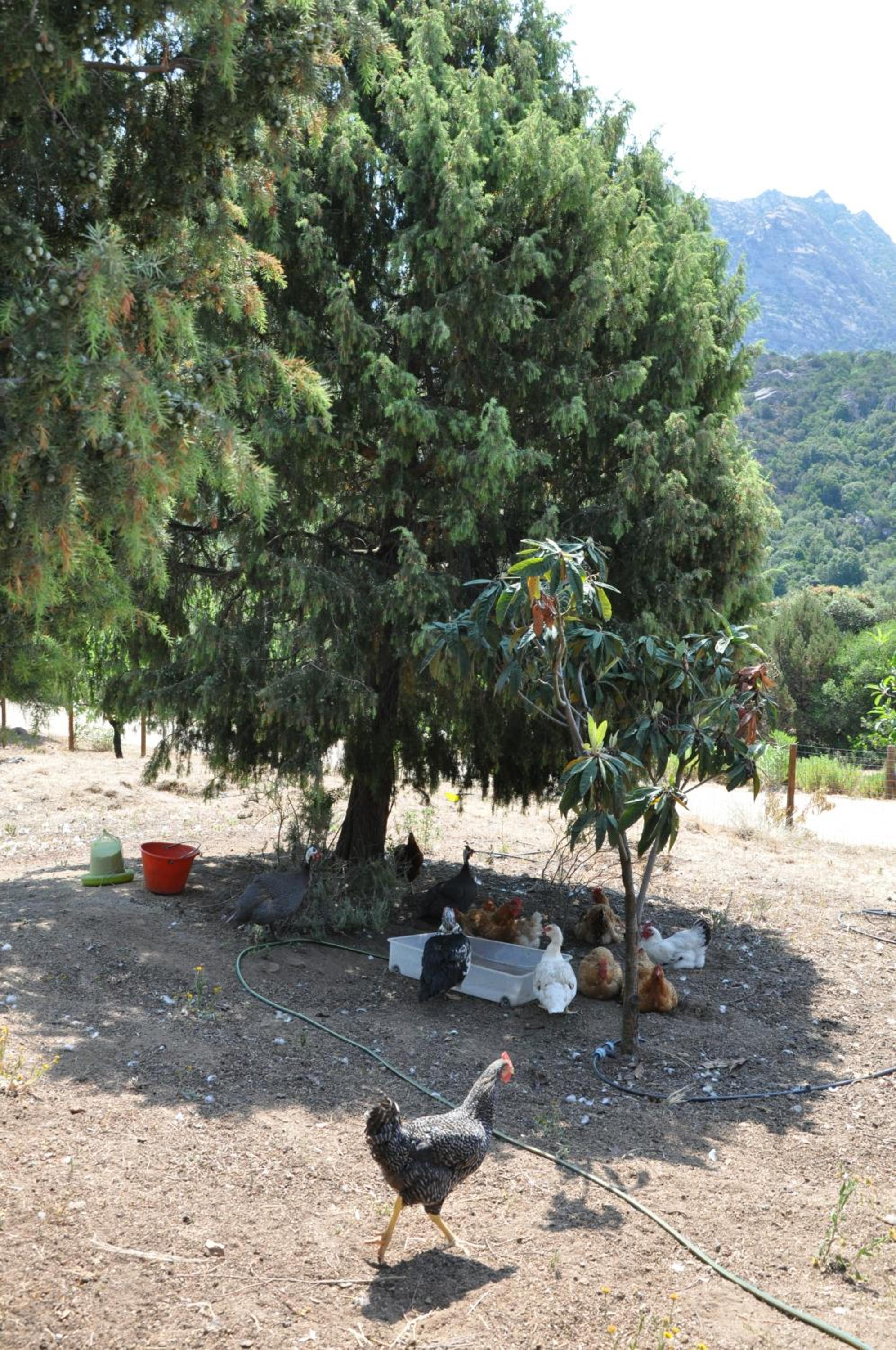 Photo 21