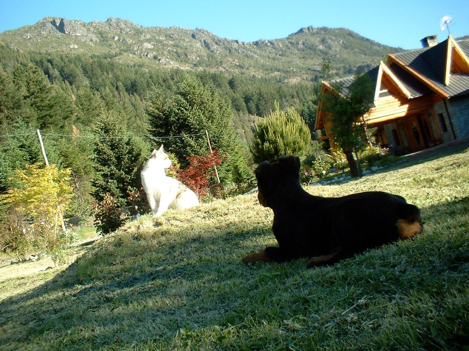 Casa Puelo Hostería y Cabañas