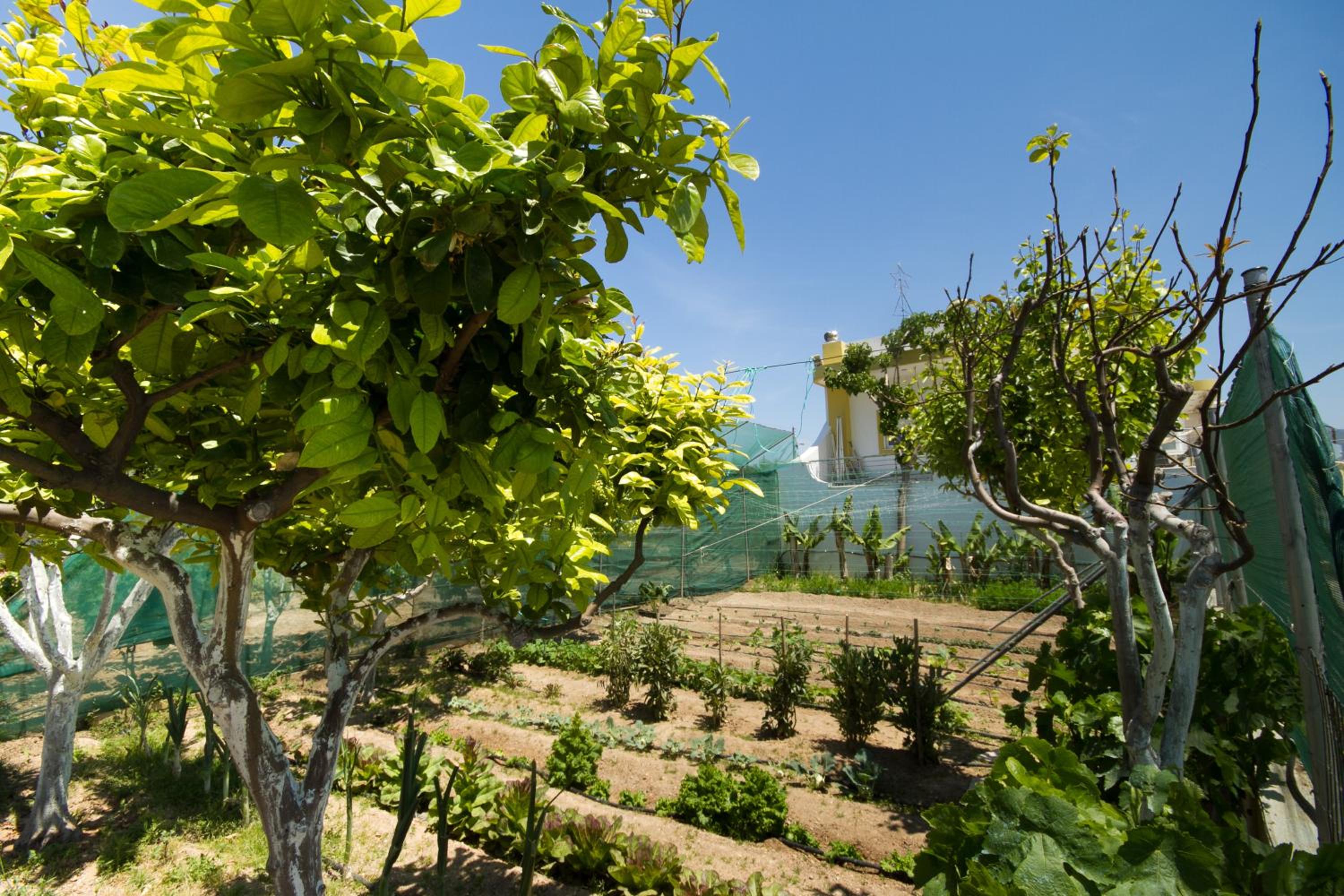 Smaragdas Sunny Home photo 3