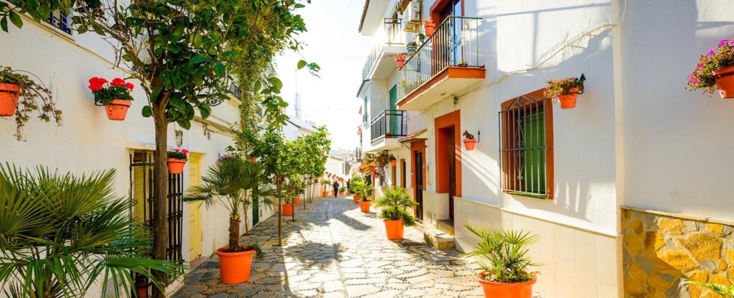 First line beach sea view Estepona