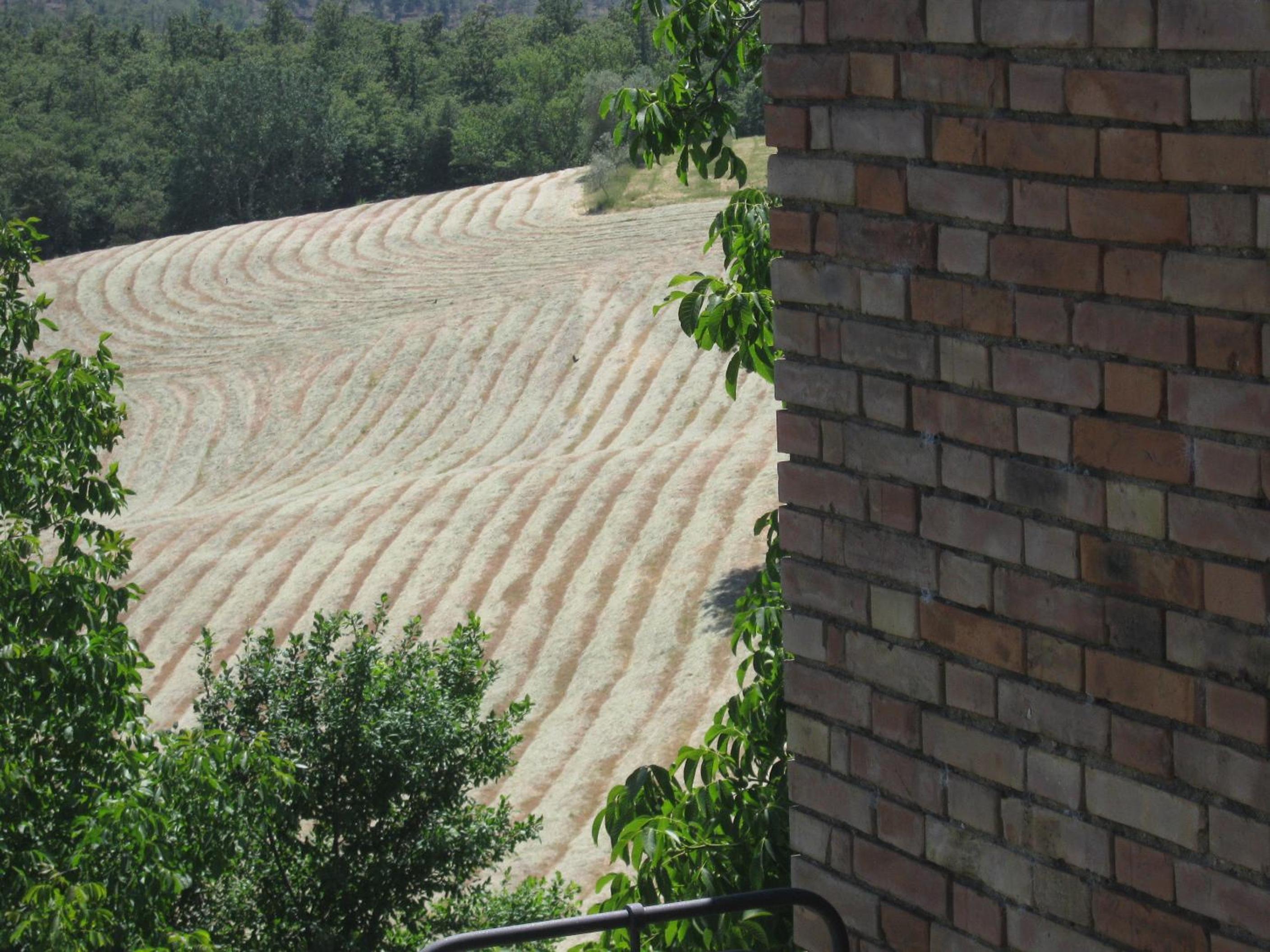 Agriturismo Santa Maria view 4